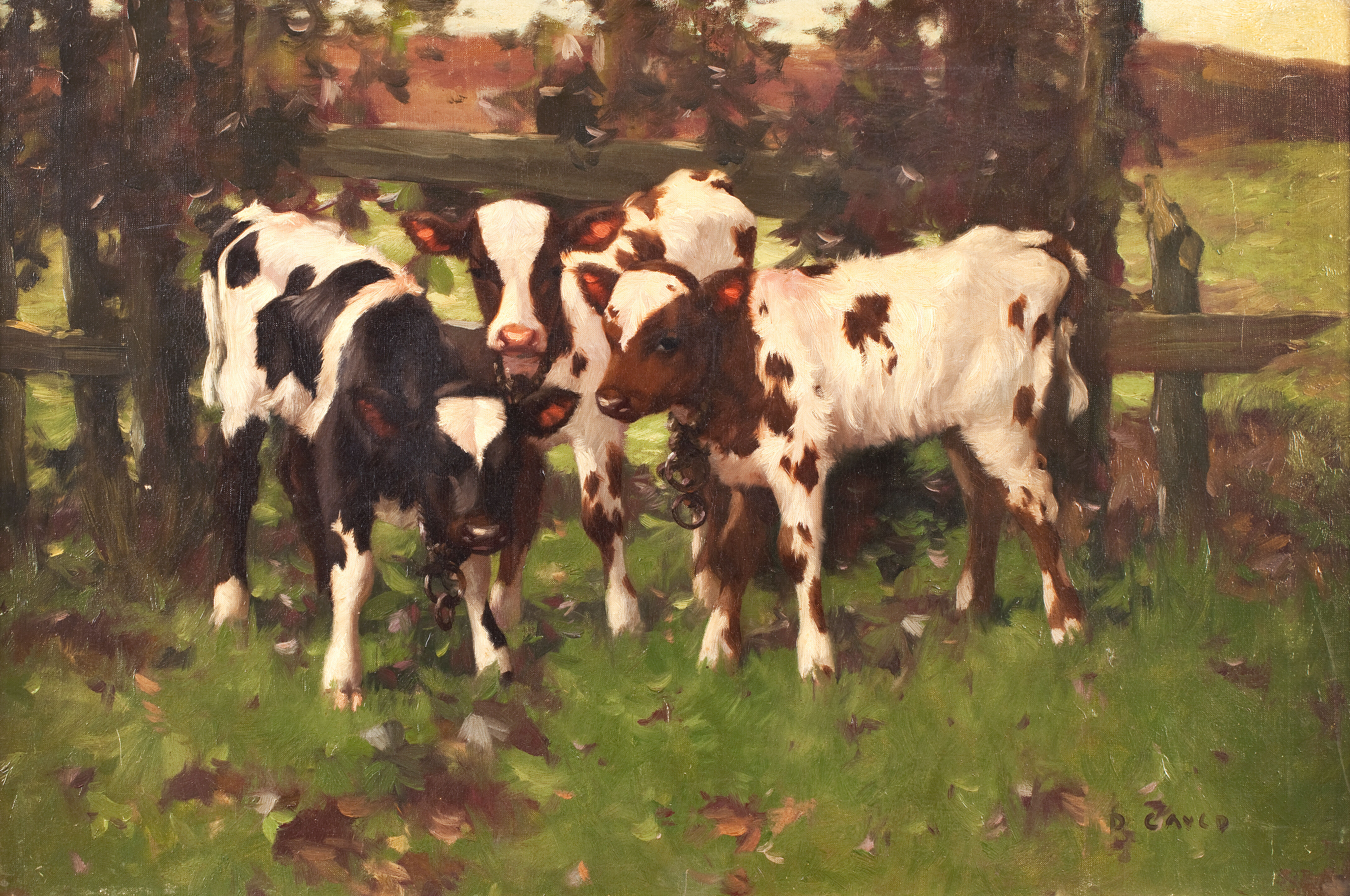 Three Calves