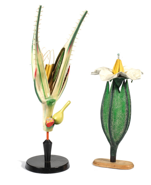 Bonhams : Two exotic botanical models, early 20th century, (2)
