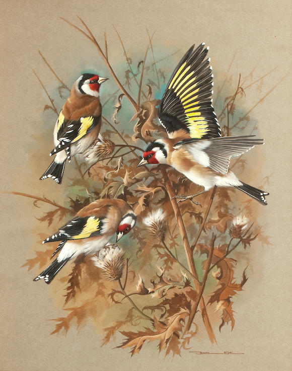 Bonhams : Basil Ede (British, born 1931) Goldfinches, 43 x 34cm (16 15/ ...