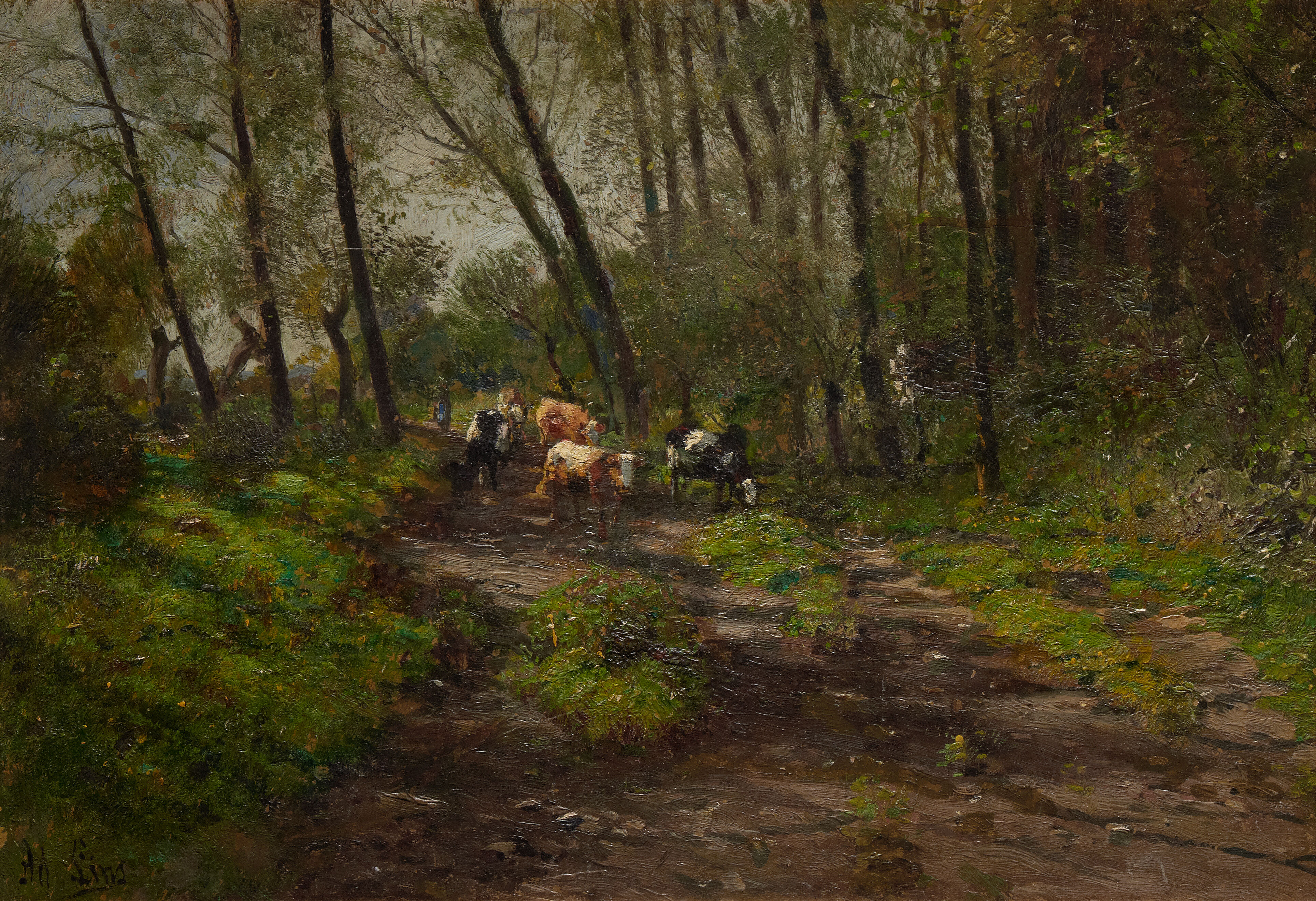 Cows on a Track