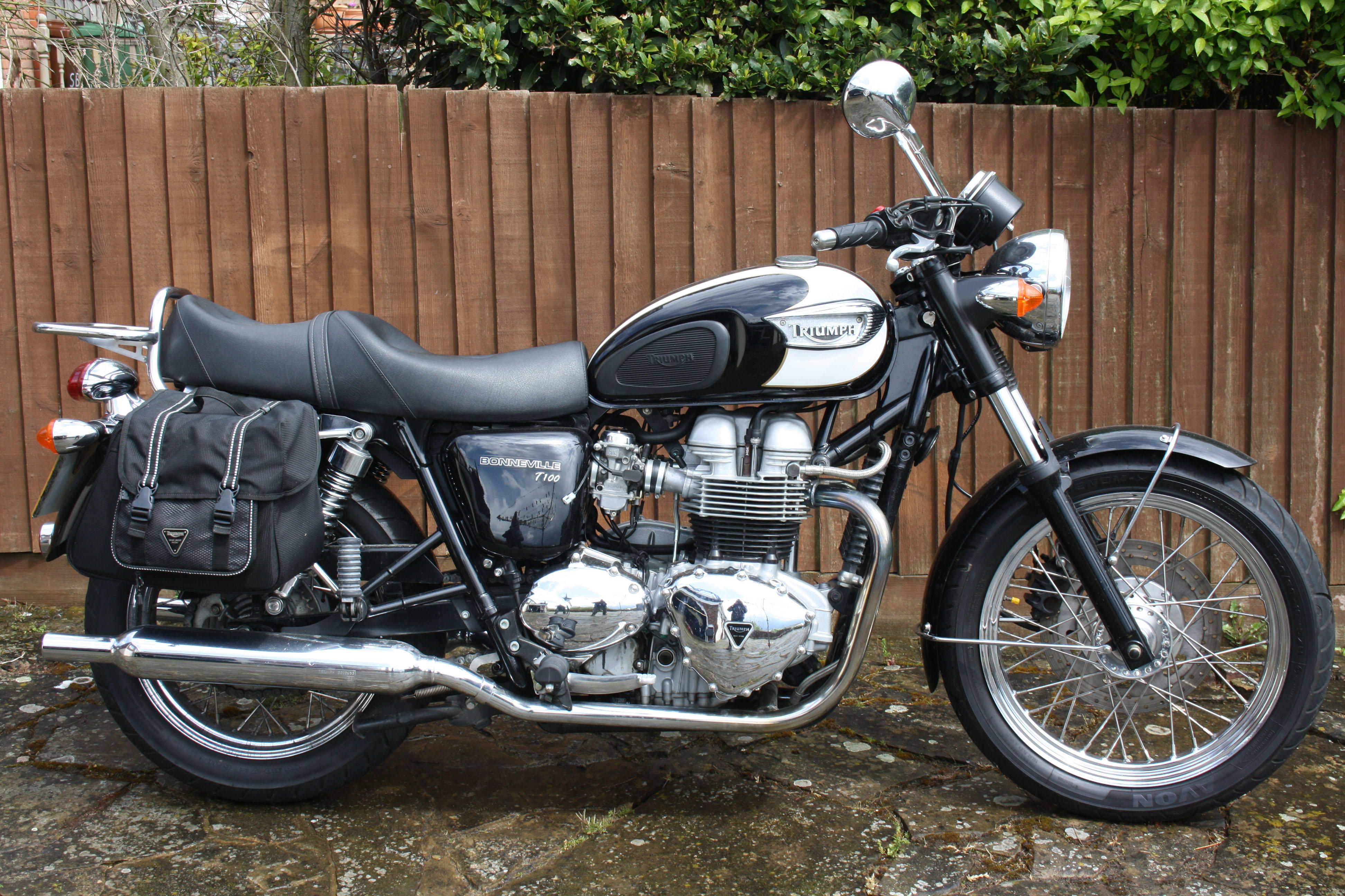 2004 triumph t100