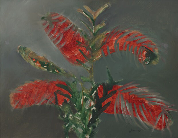 Bottlebrush
