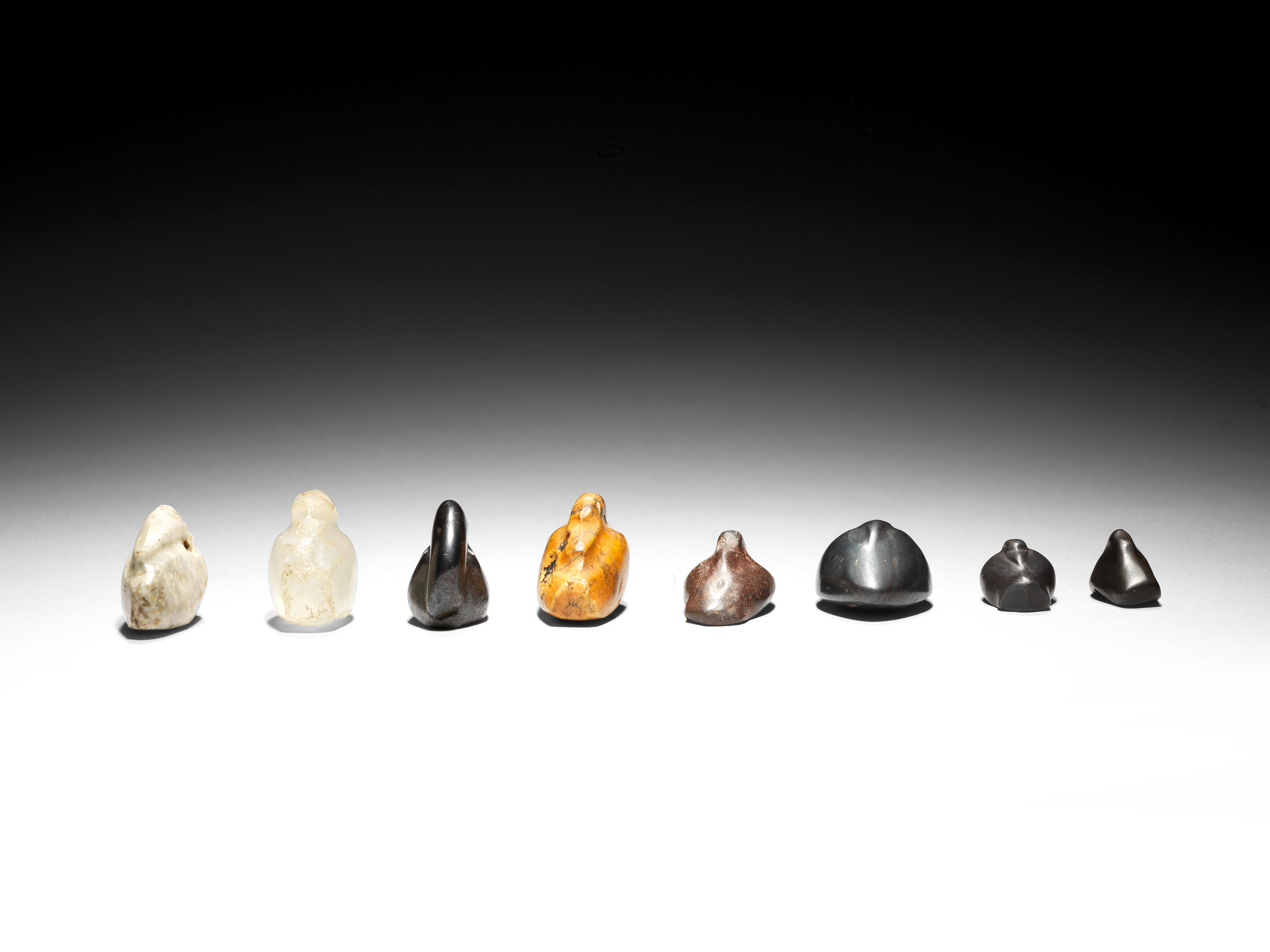 The Surprising Truth About Duck Weights! - 75ens6r