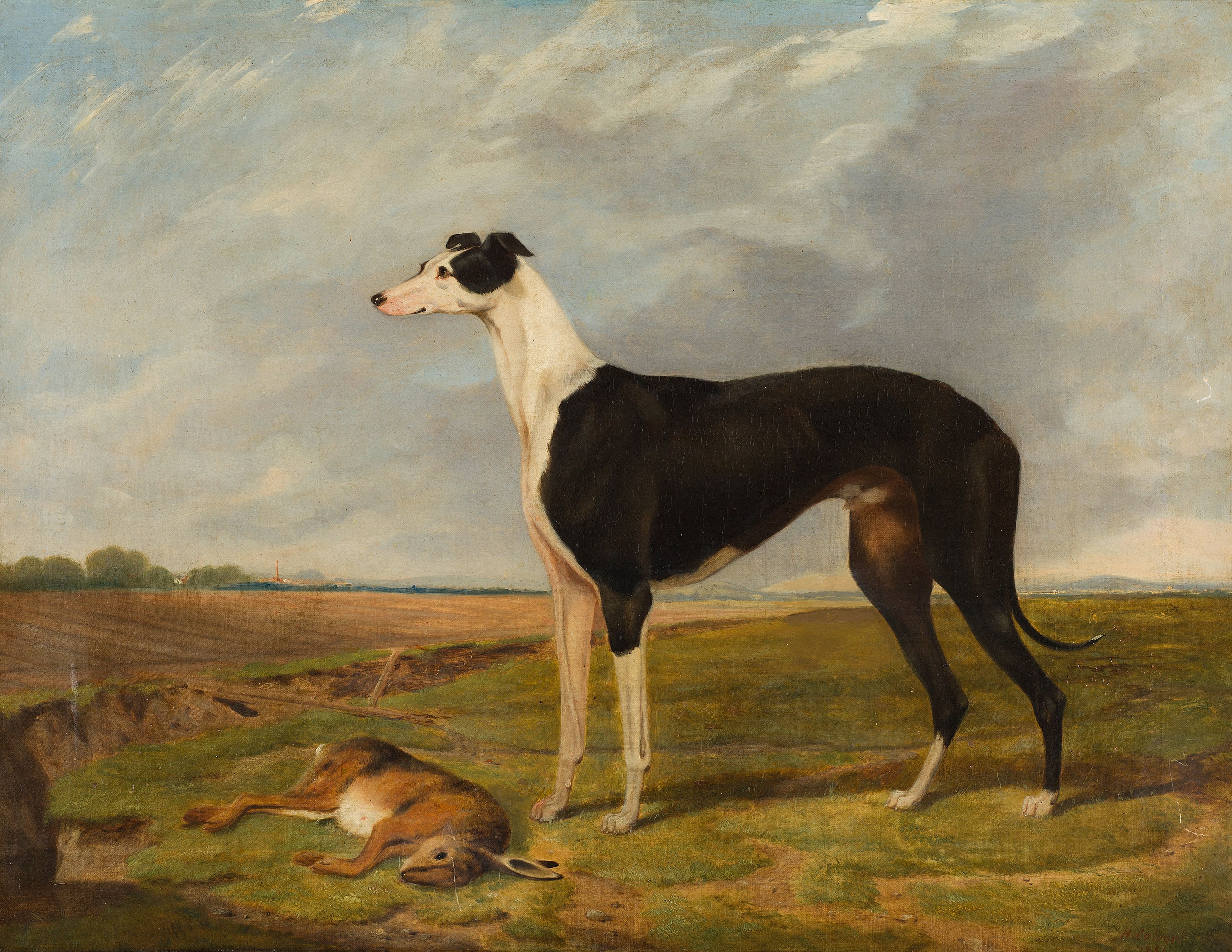 50s VINTAGE Adam 7 1/2 心許なかっ 60cm whippet cl