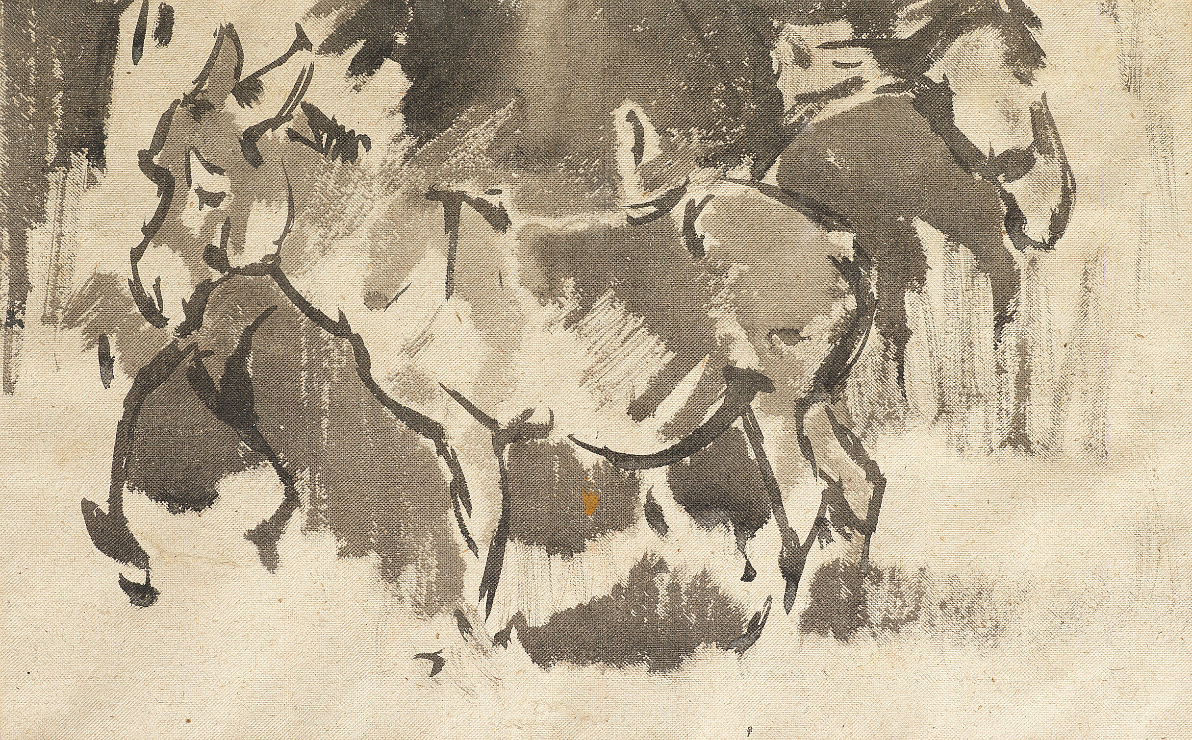 Donkeys - Thumb 2