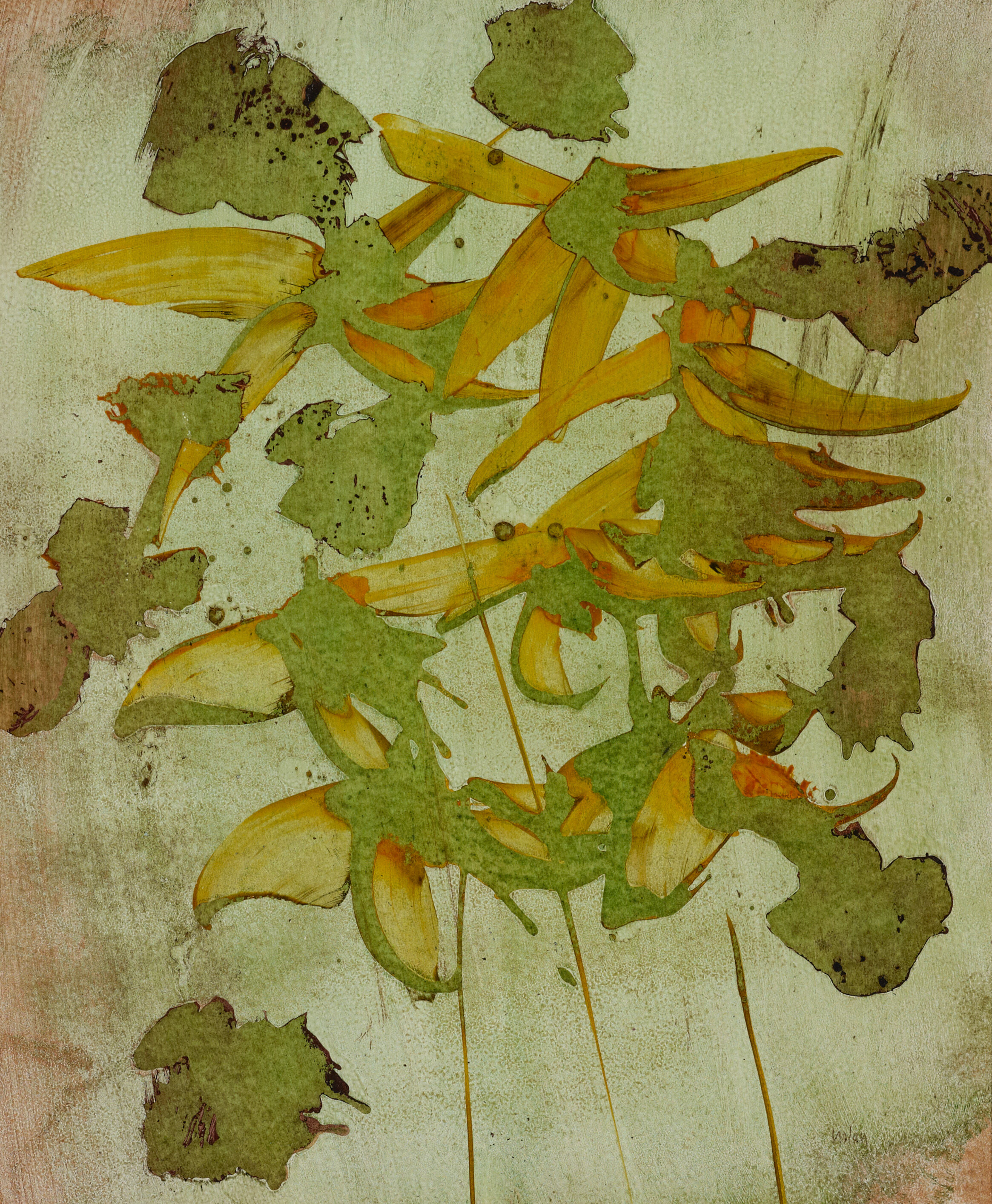 Flower Study