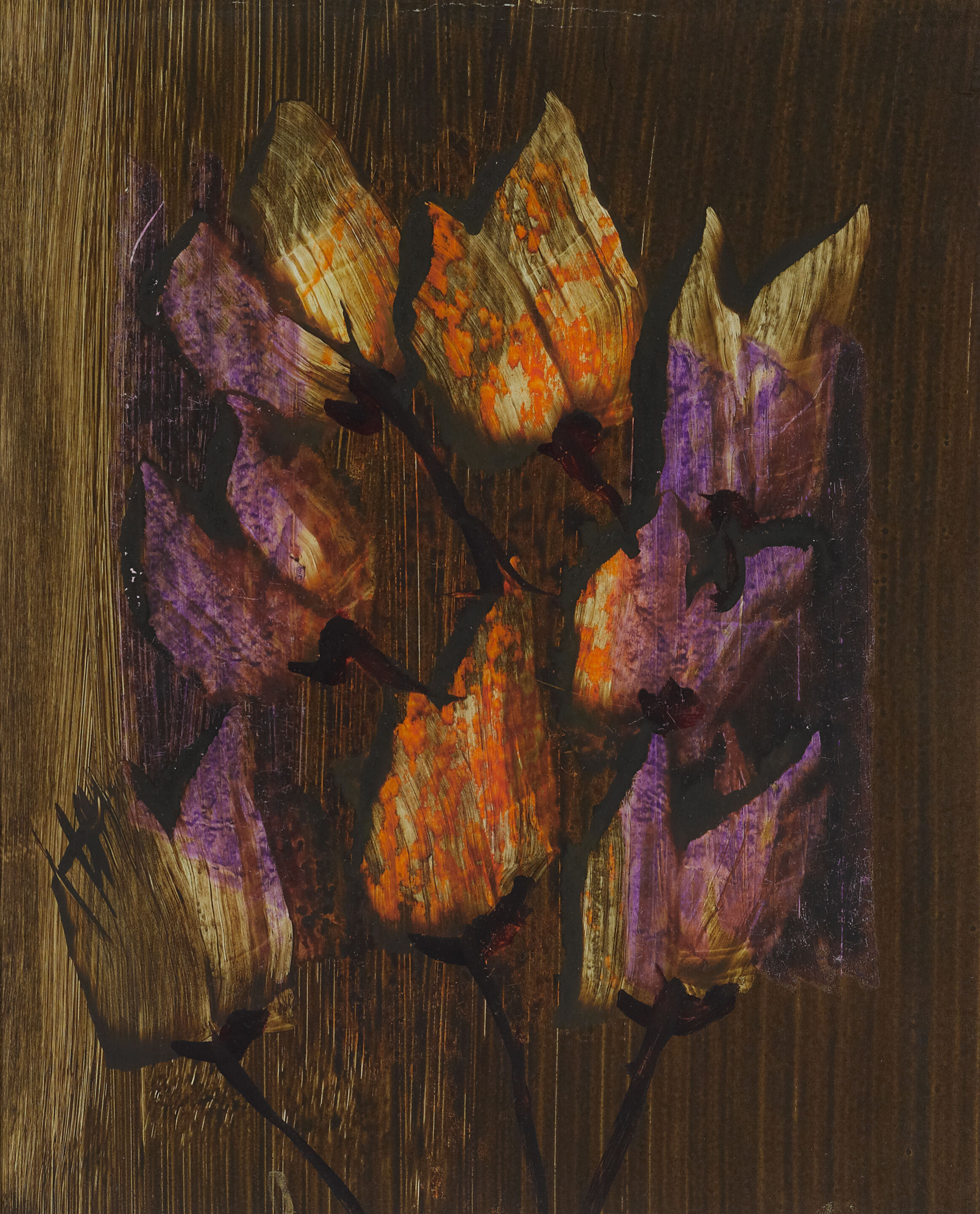 Flower Study