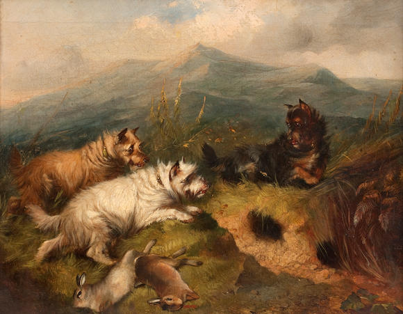 Bonhams : Edward Armfield (British, 1817-1896) Terriers rabbiting in a