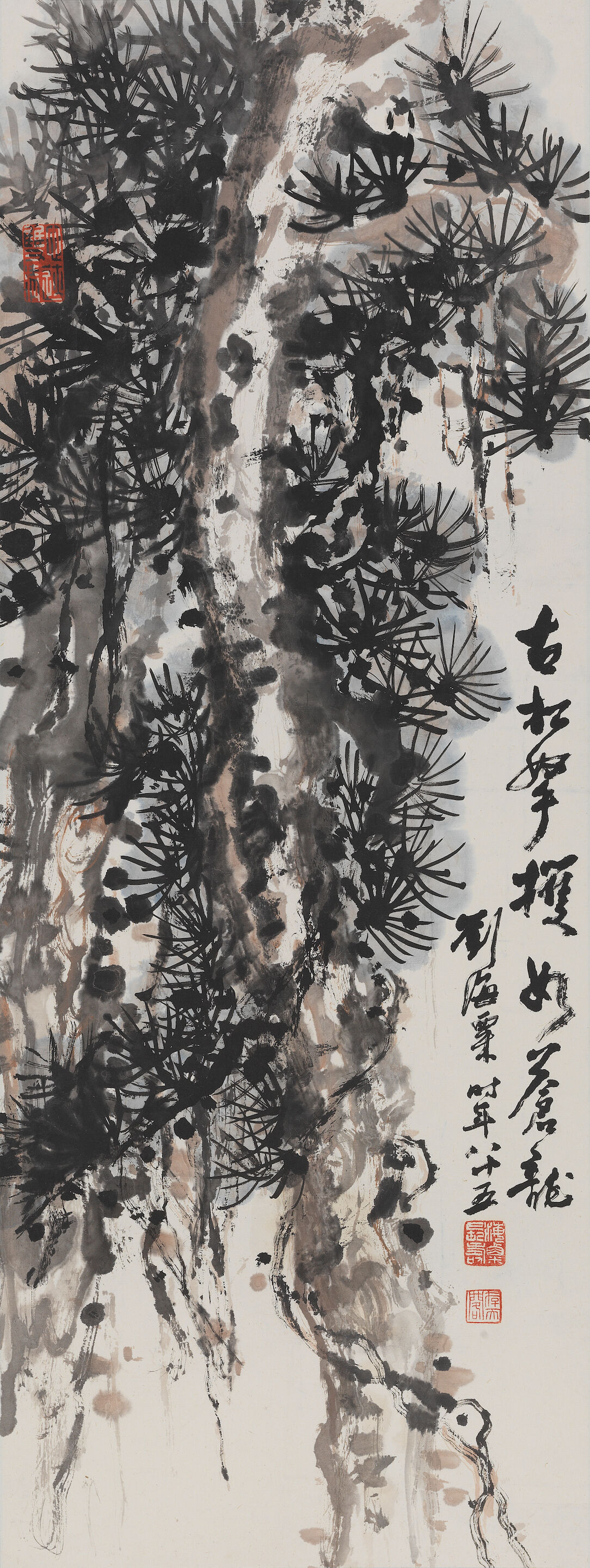 Pine Trees