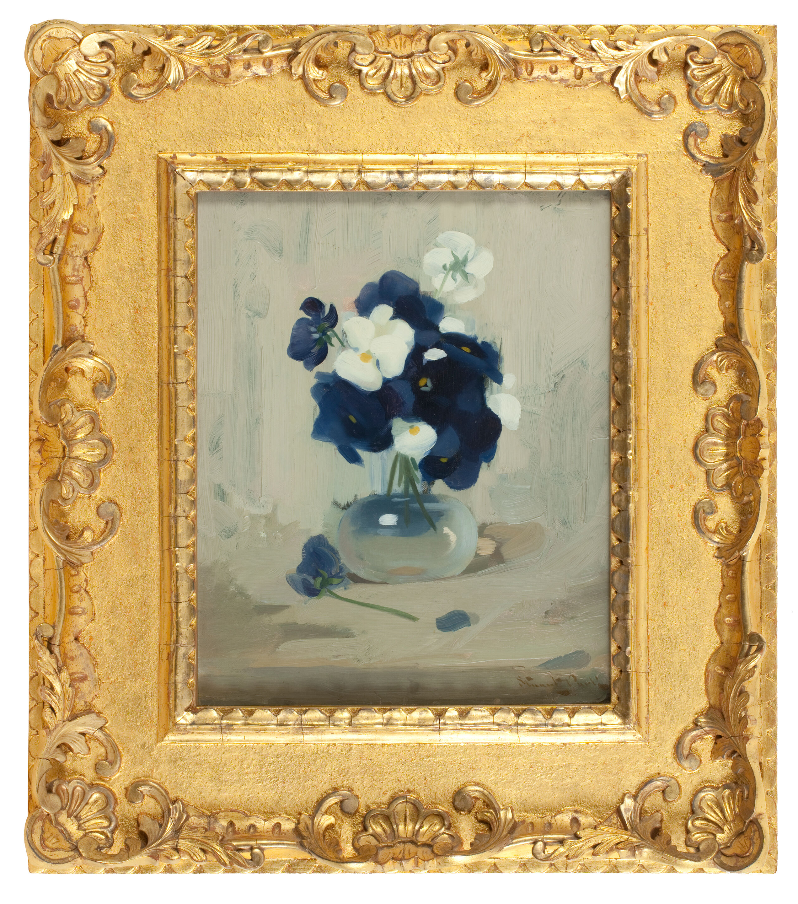 Violas