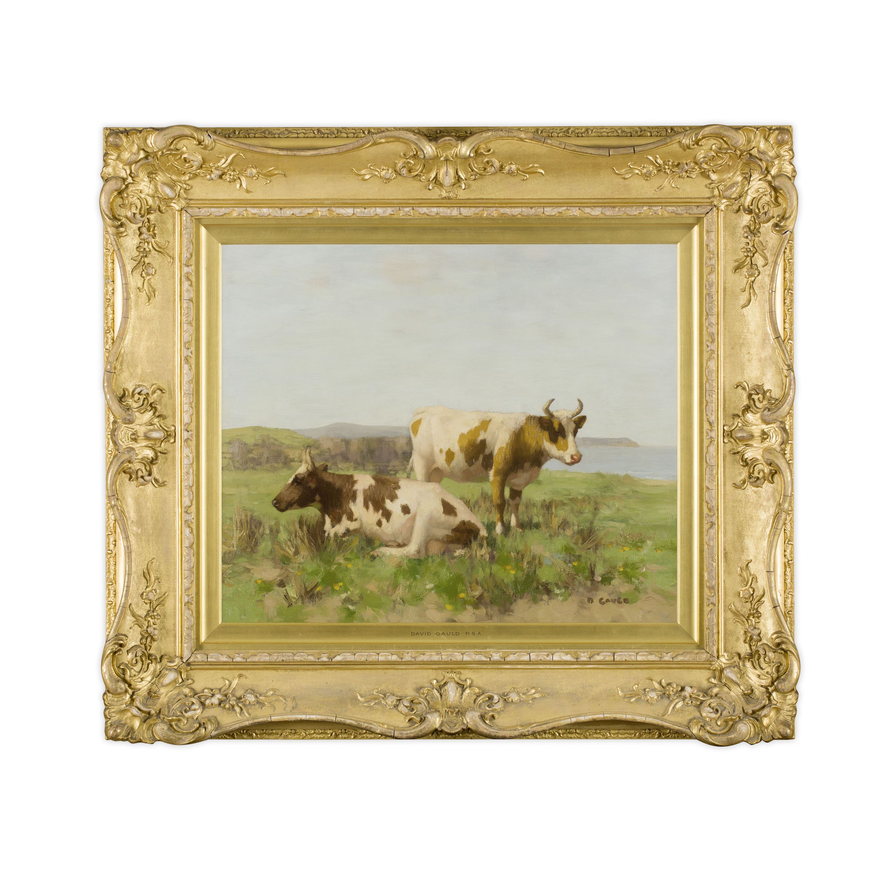 Cattle - Thumb 2