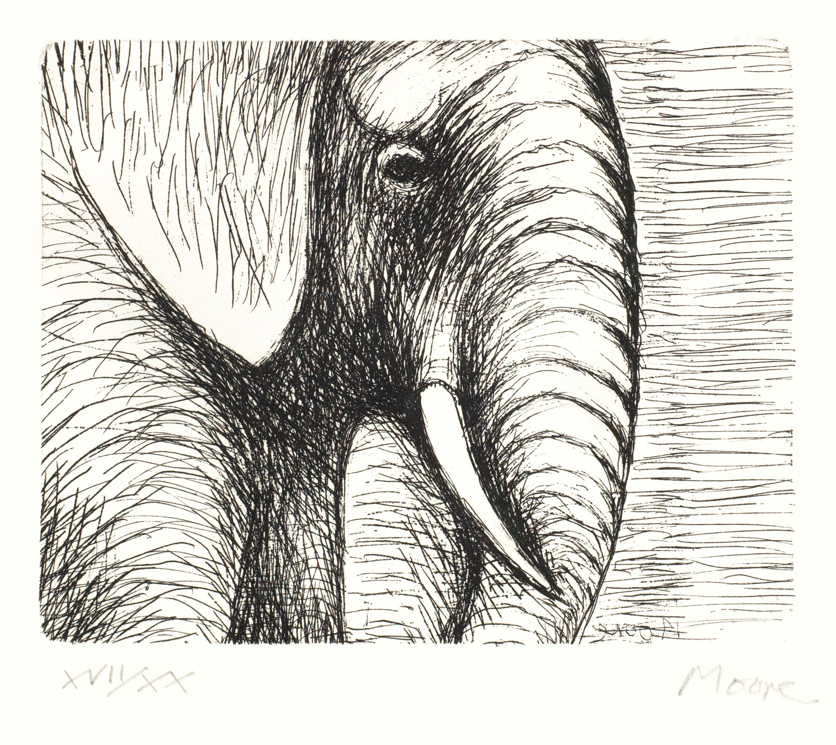 Elephant's Head, from Animals in the Zoo