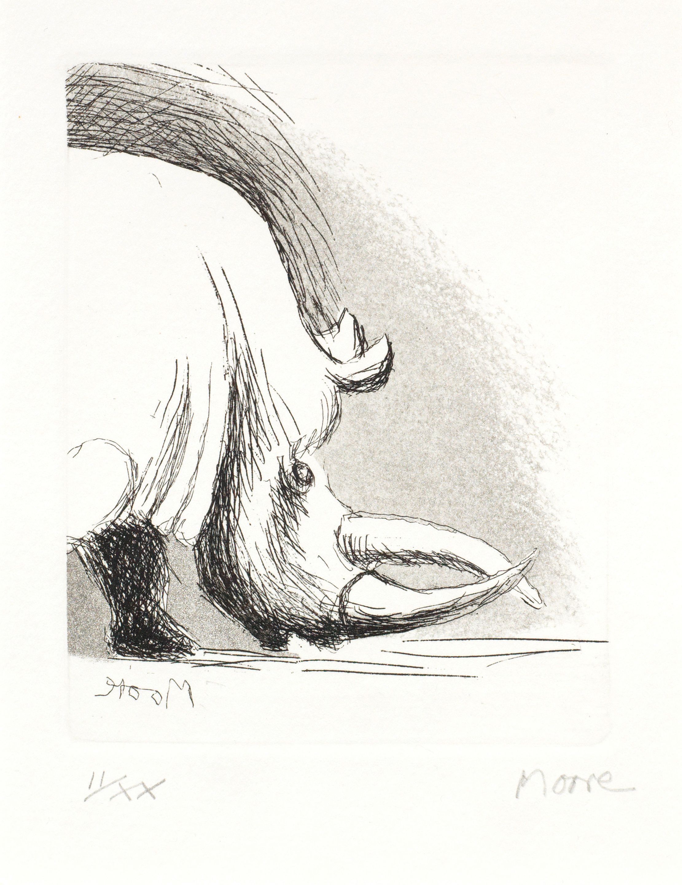 Rhino, from Animals in the Zoo