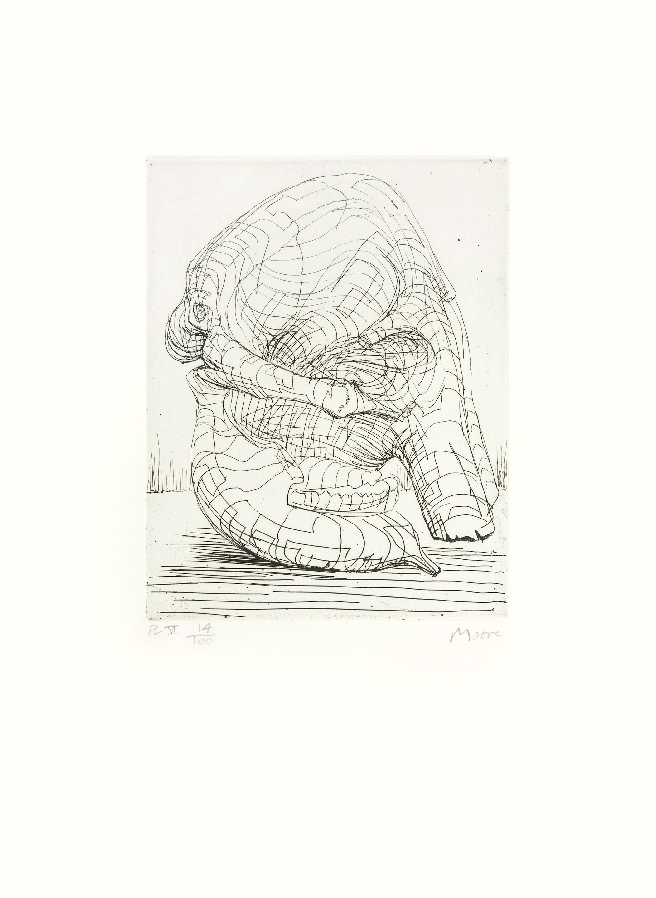 Elephant Skull Plate VII