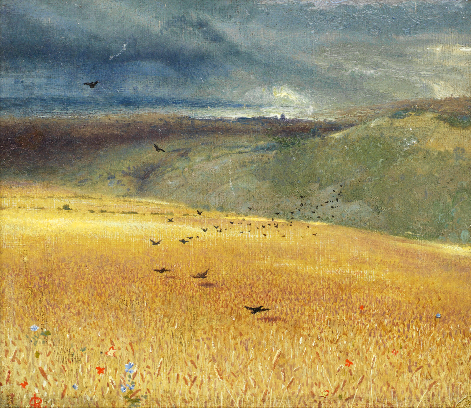 Cornfield