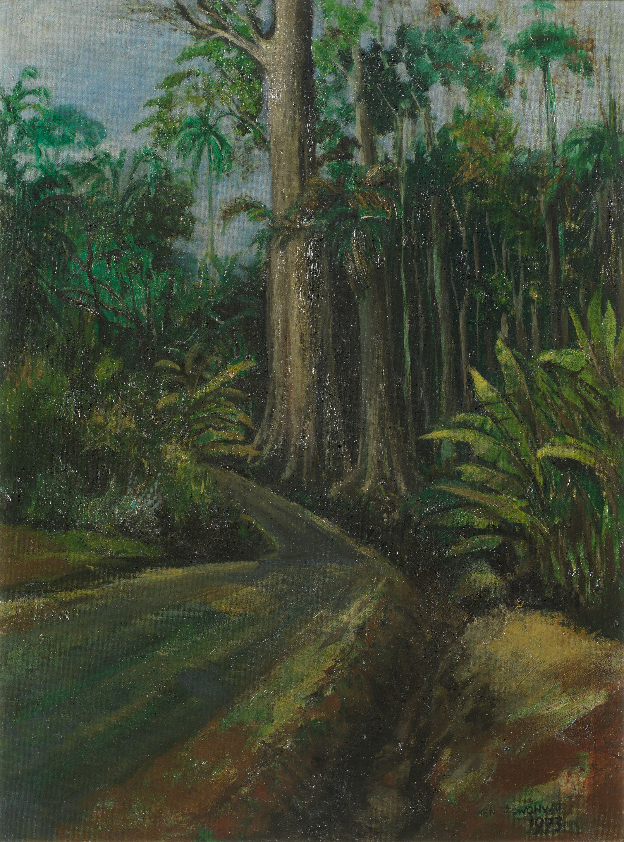A Forest Path