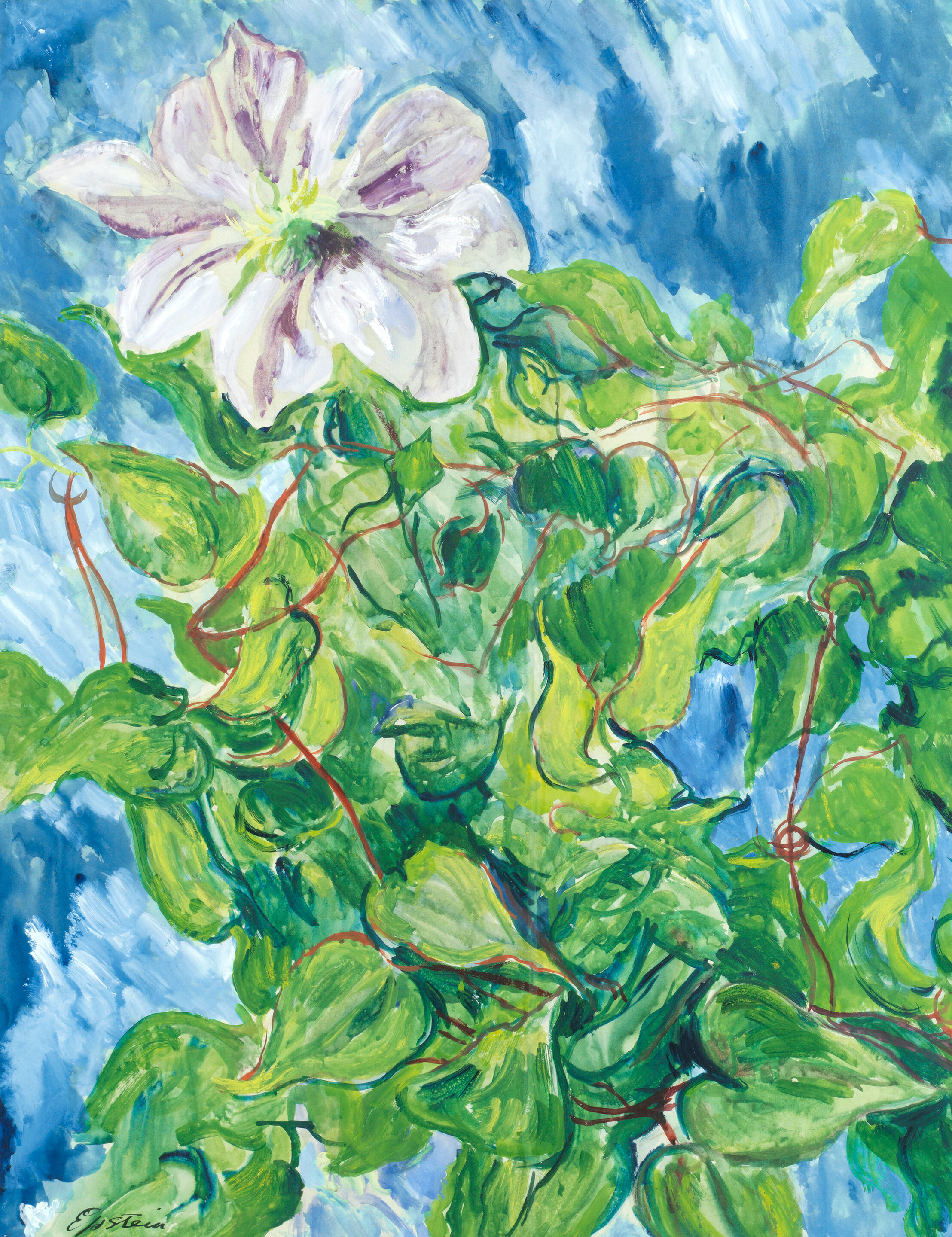 Flower Study