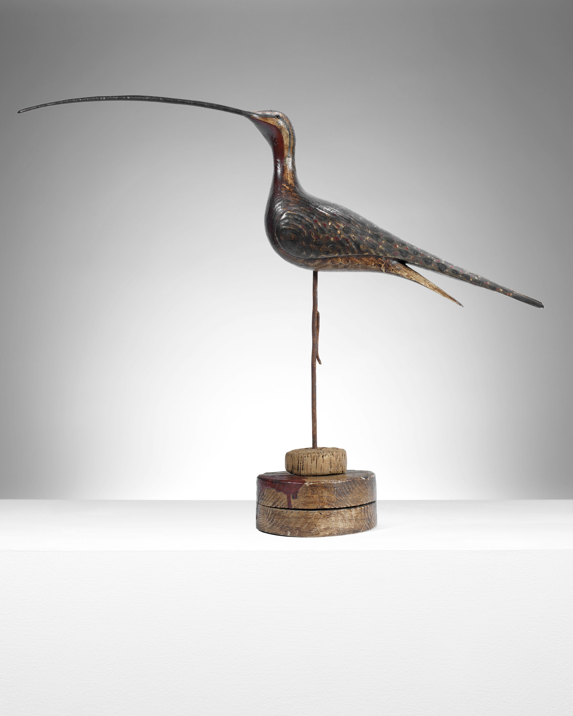 Curlew