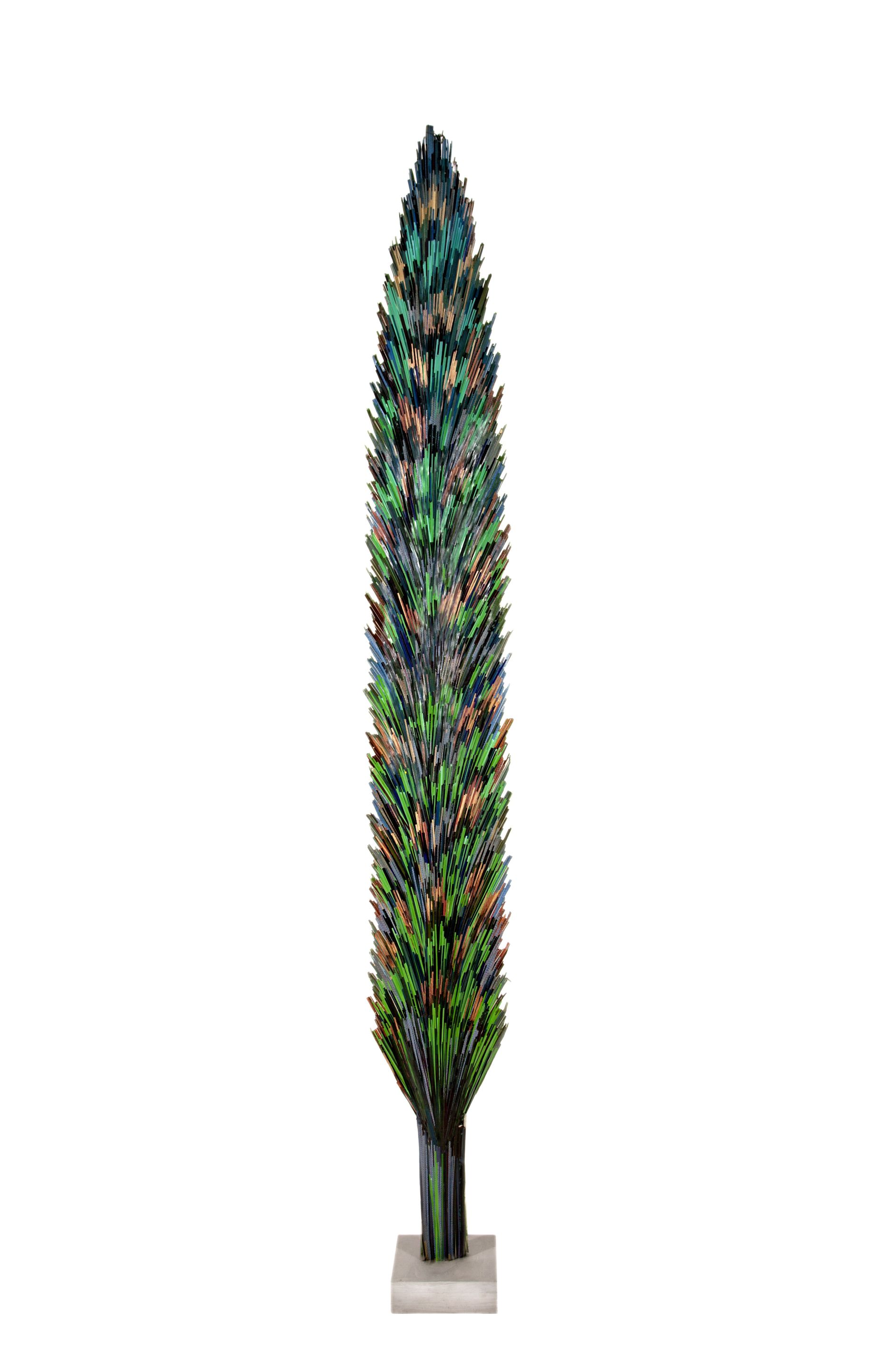 Cypress