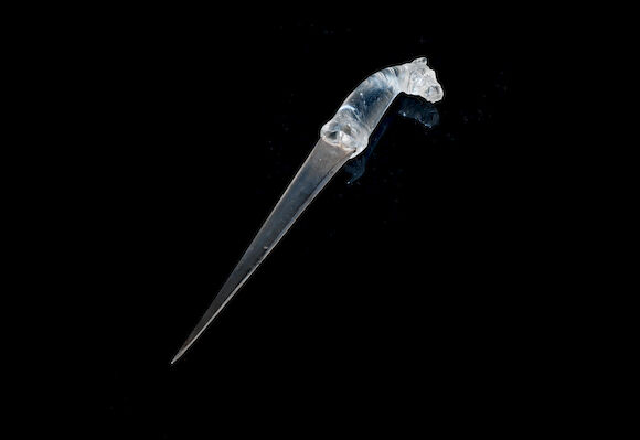 Bonhams : A Mughal dagger with rock crystal horse-head hilt 18th century