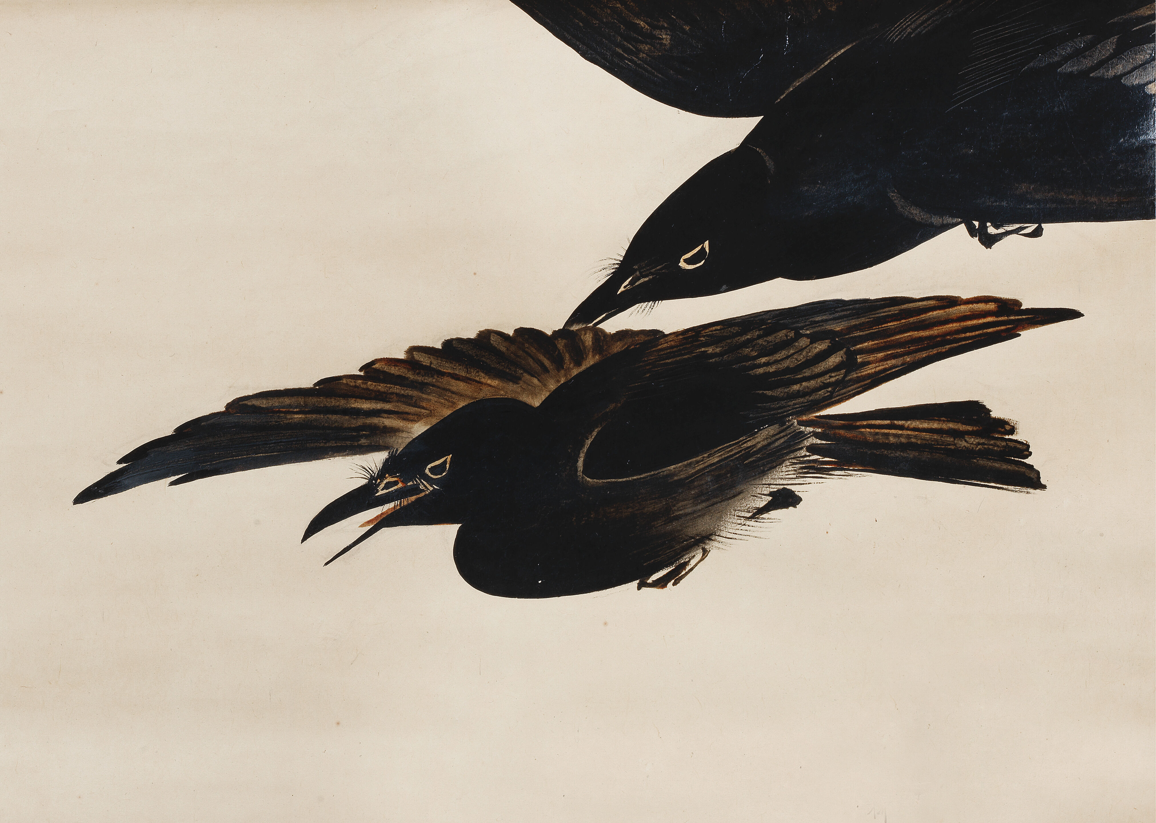 Two Crows - Thumb 2