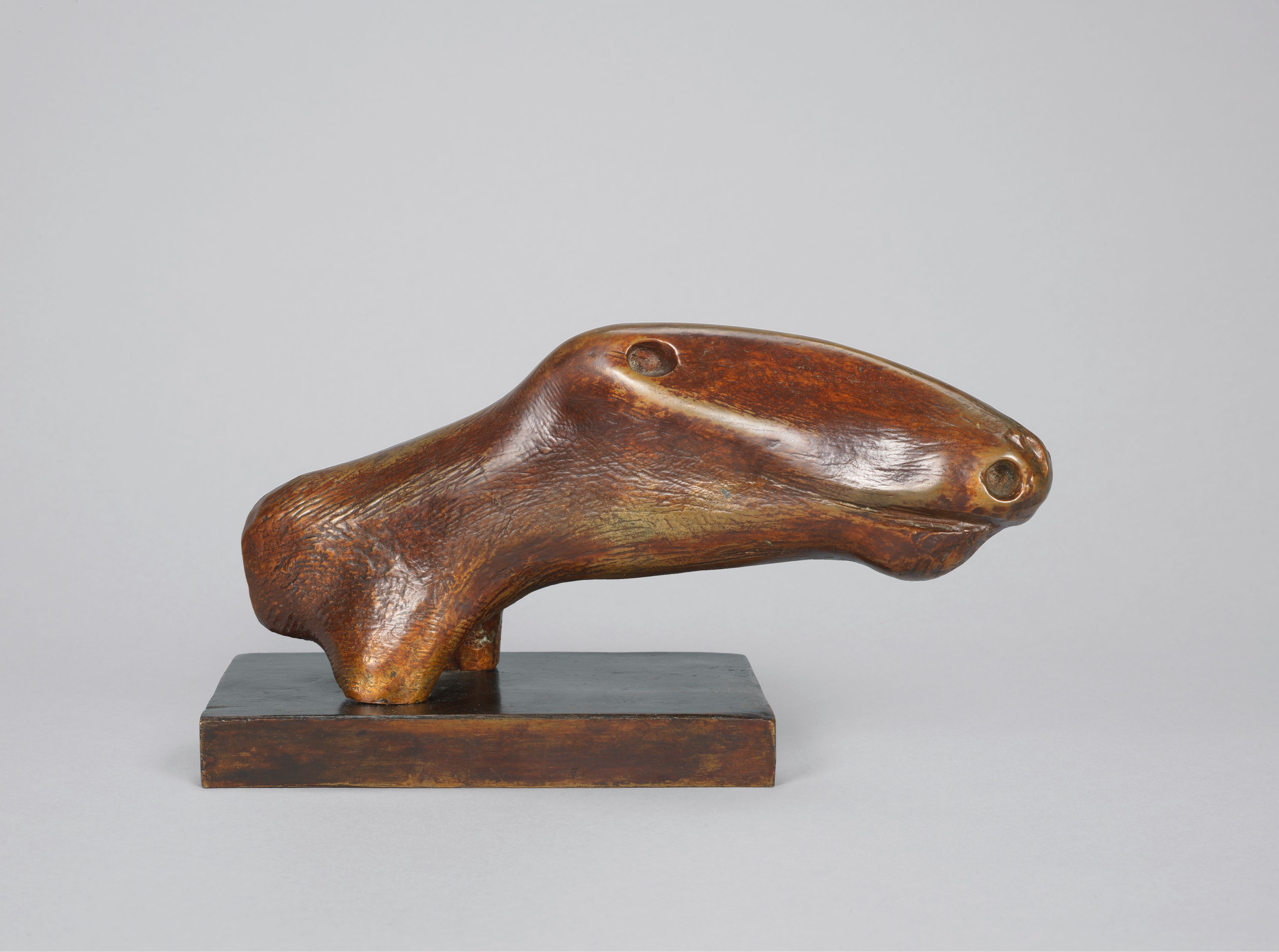 Horse's Head