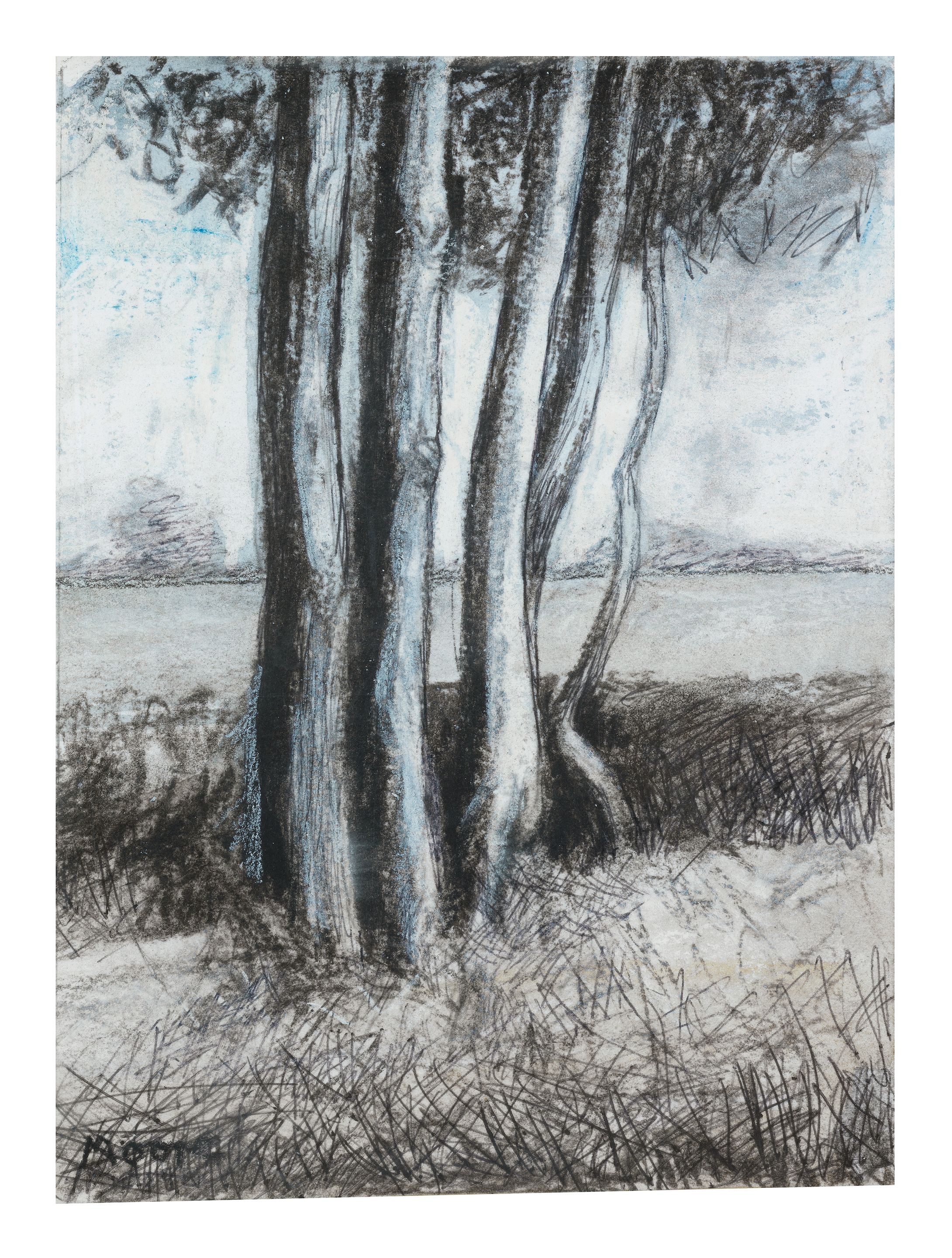 Trees Against A Hedge
