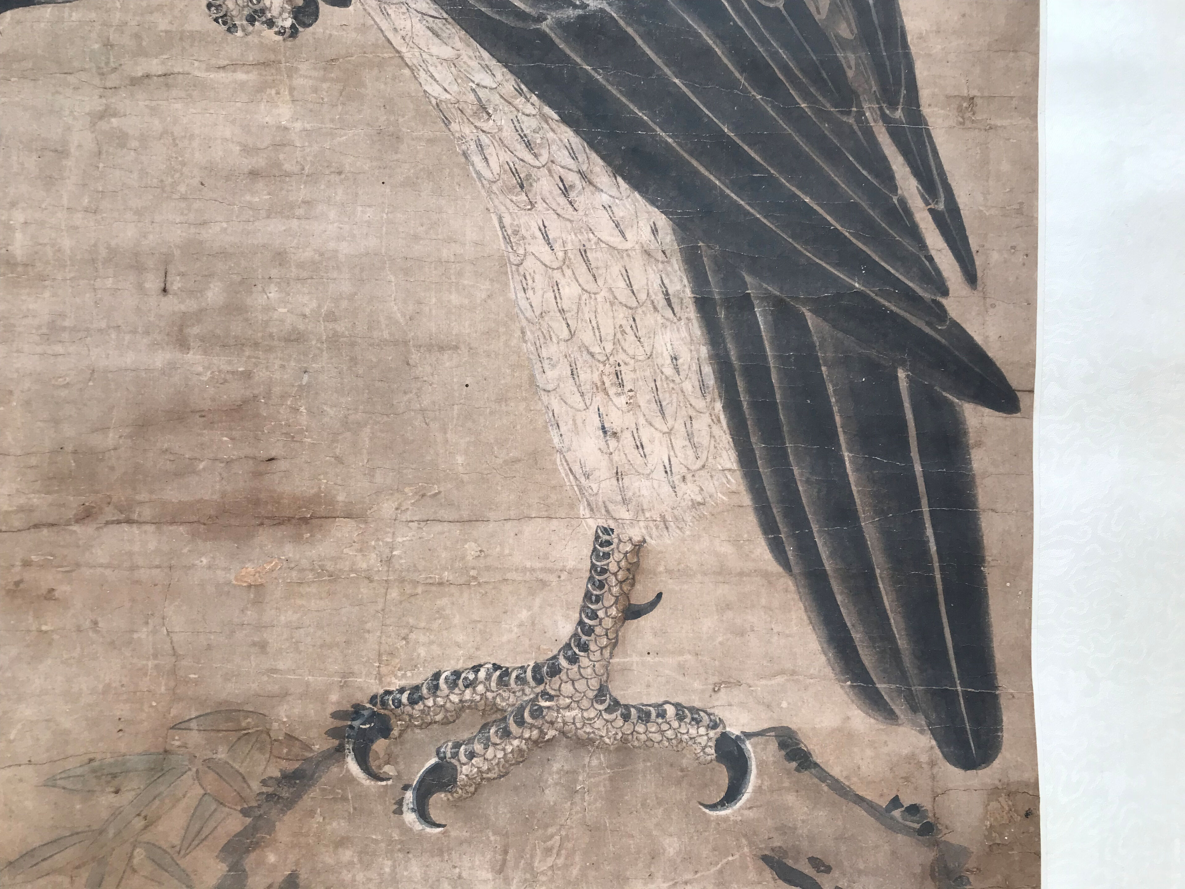 Eagle - Thumb 8