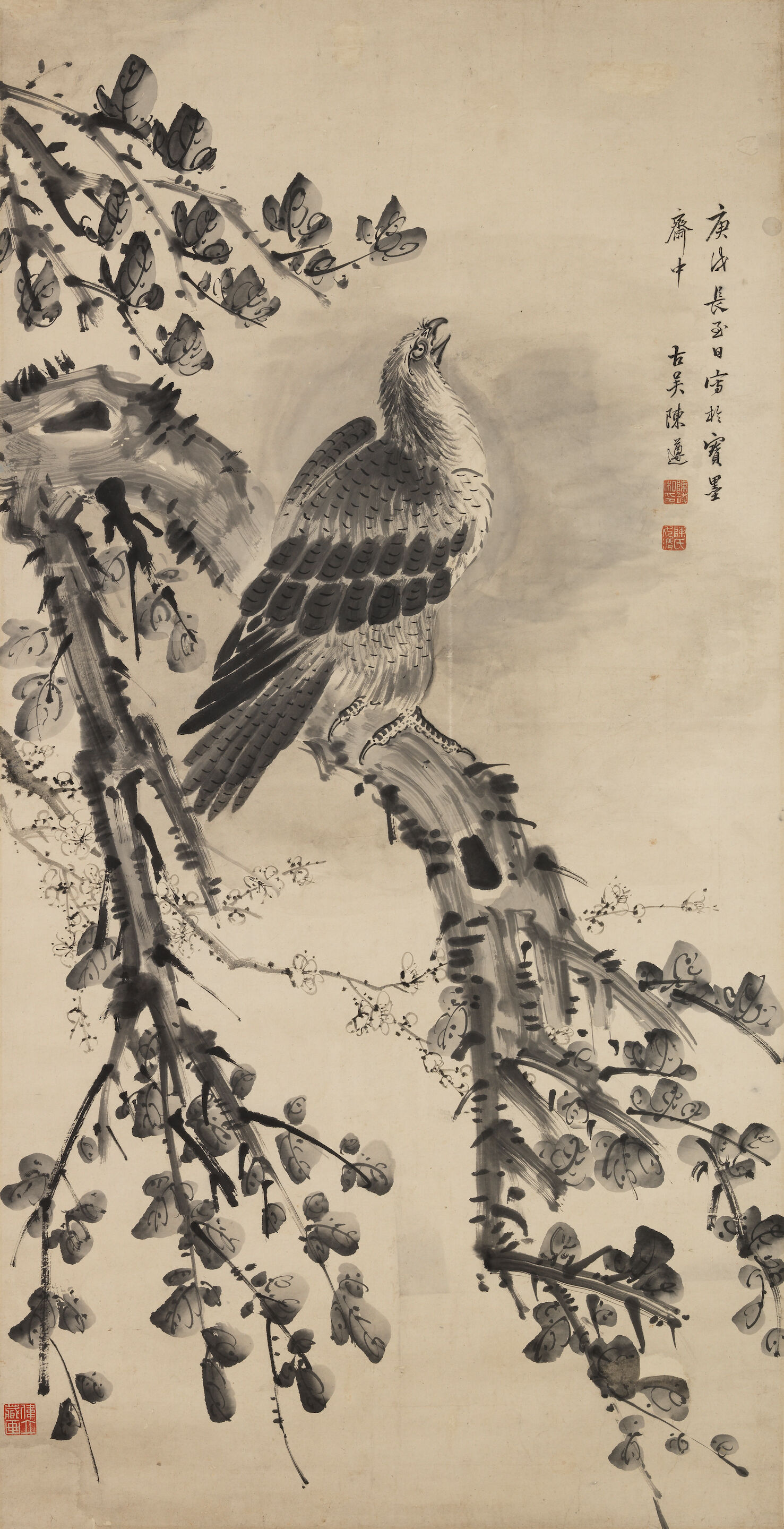 Eagle