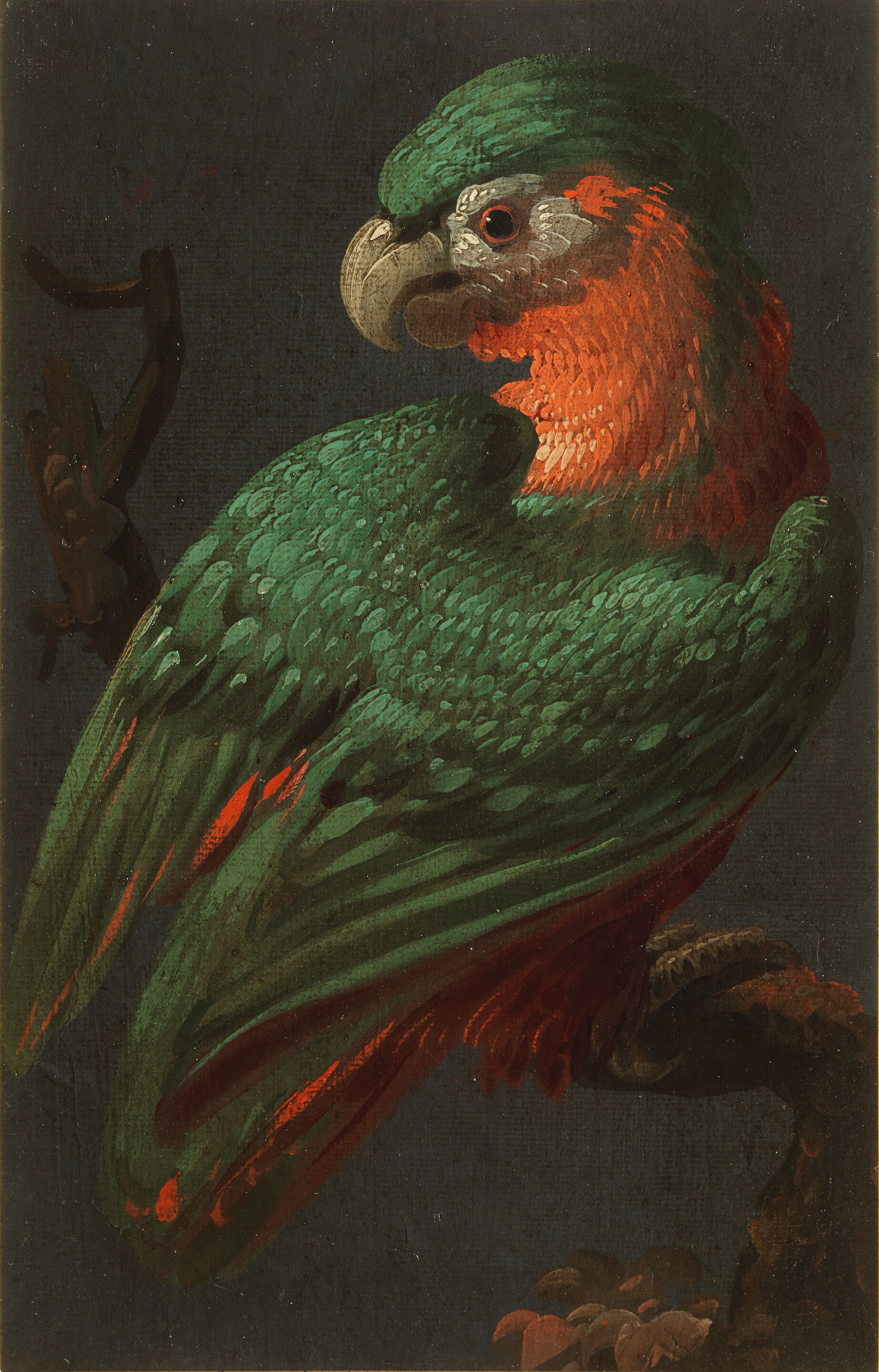 Two Parrots