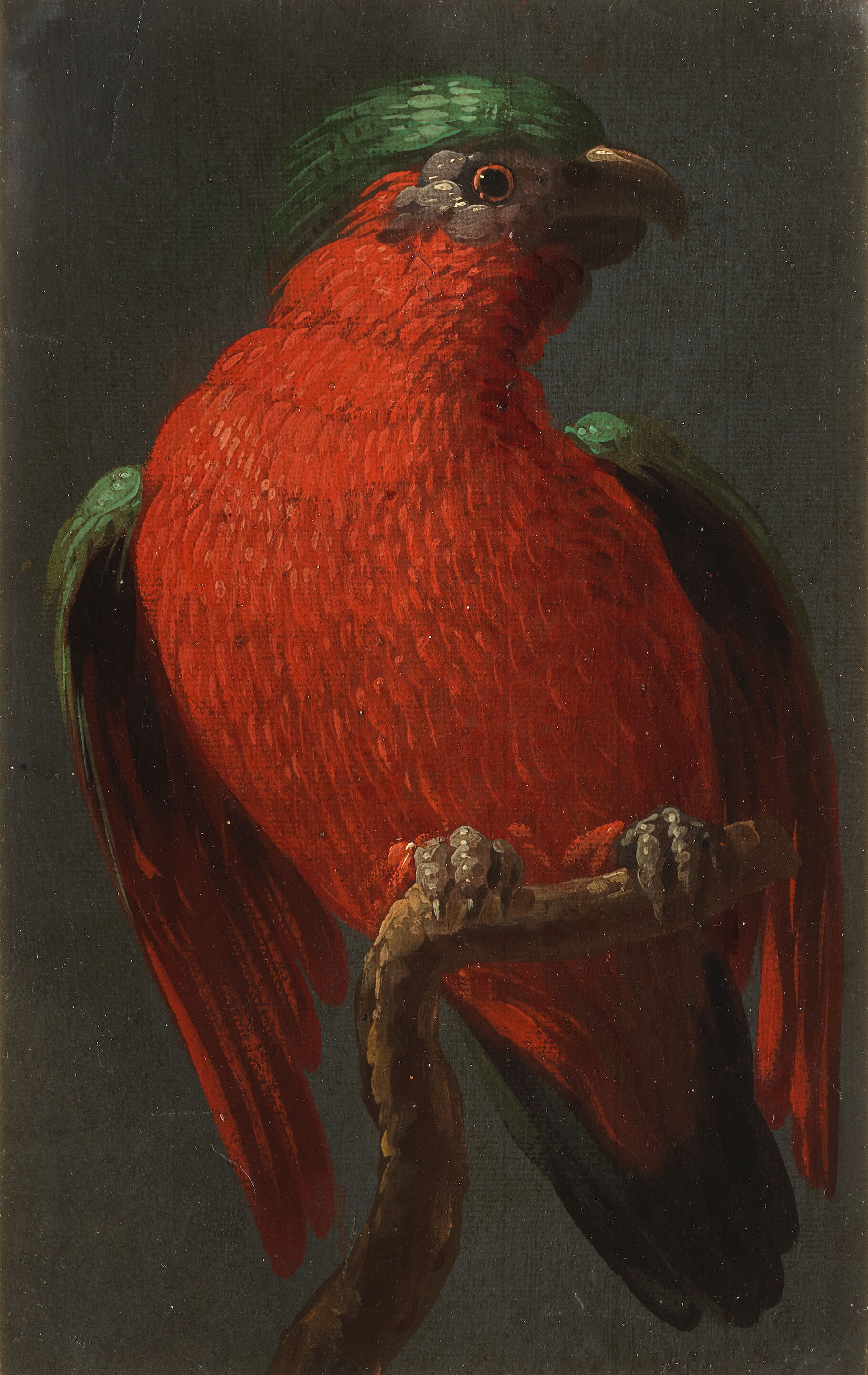 Two Parrots - Thumb 2