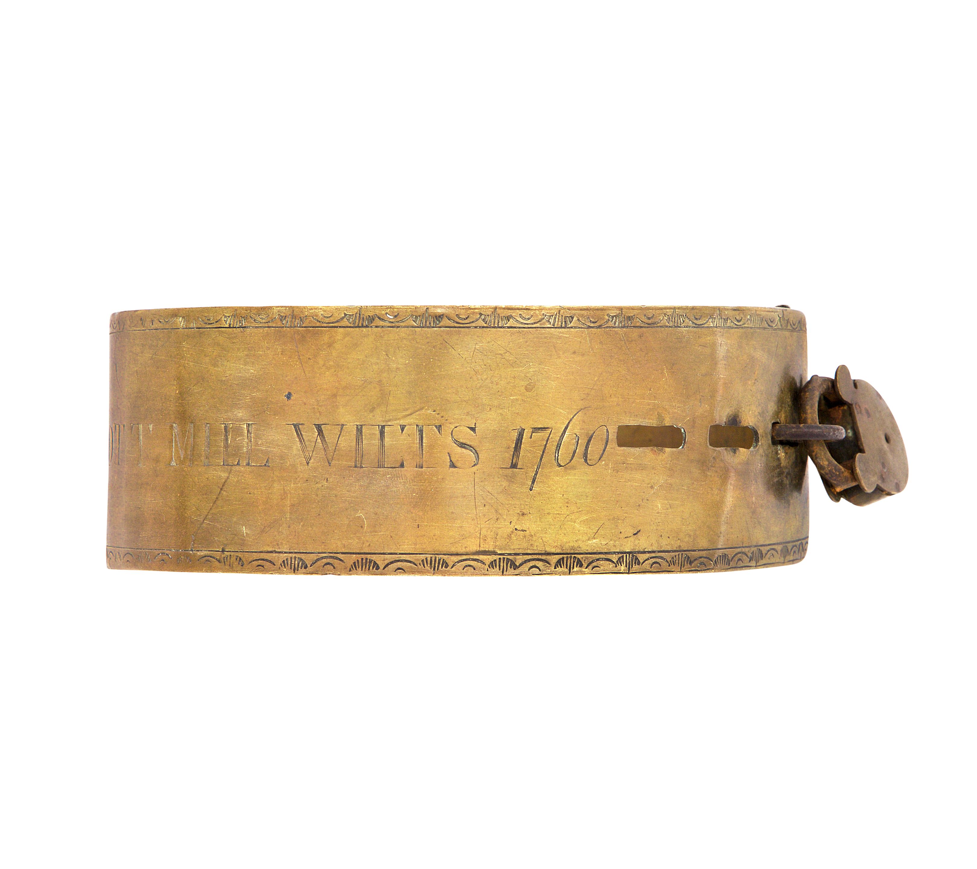 A Dog Collar