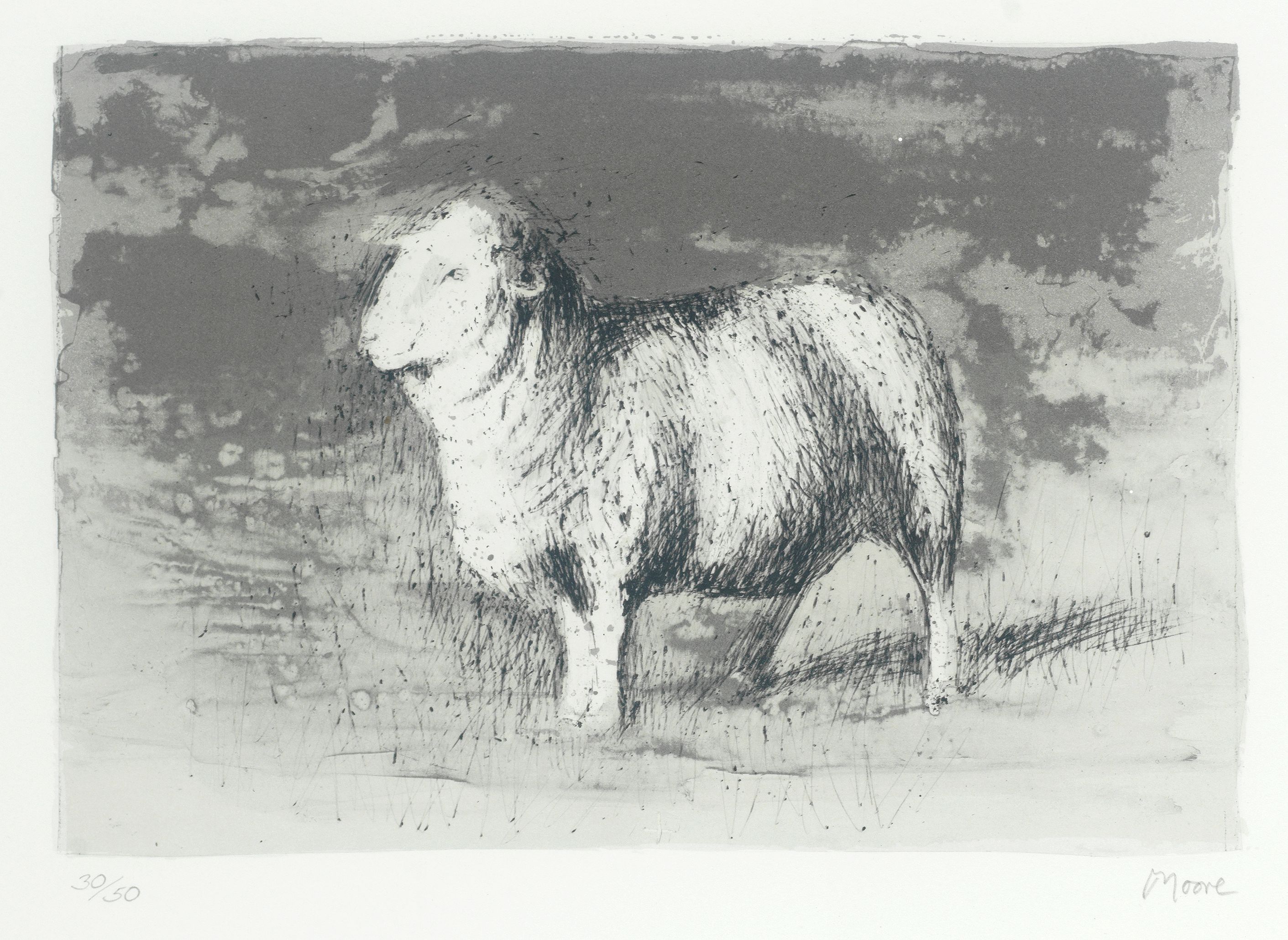 Sheep in Stormy Landscape