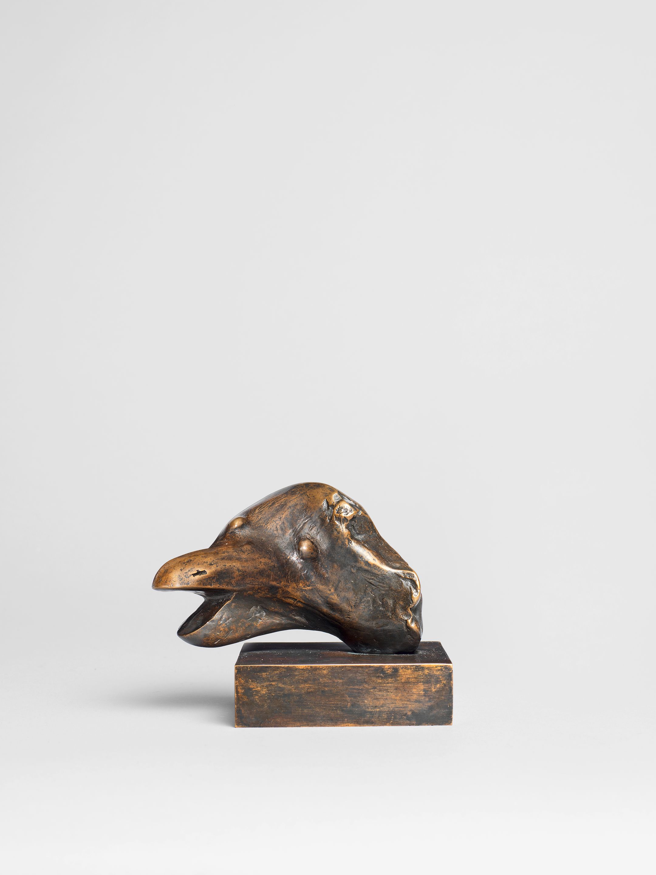 Animal Head: Open Mouth