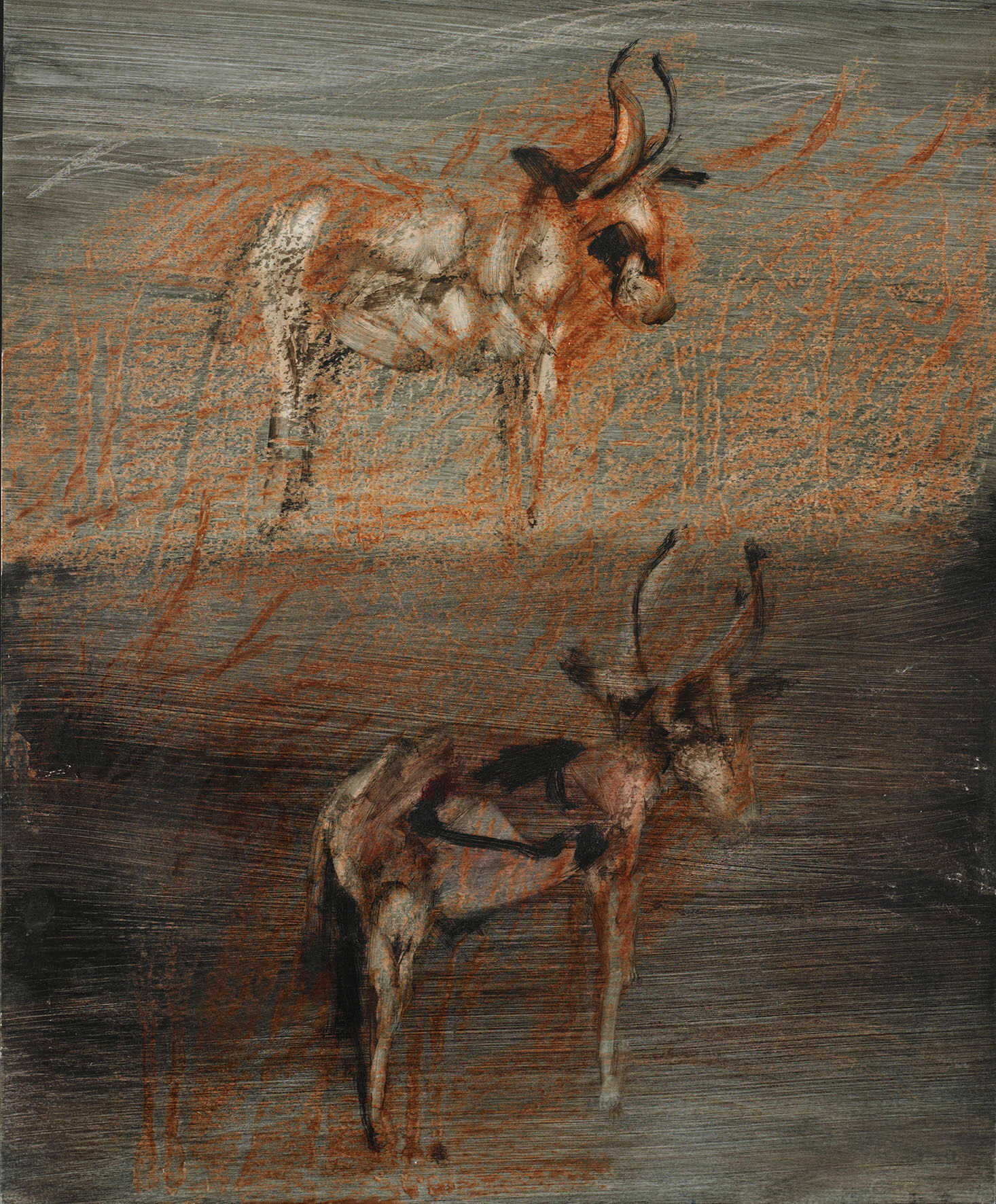 Gazelle