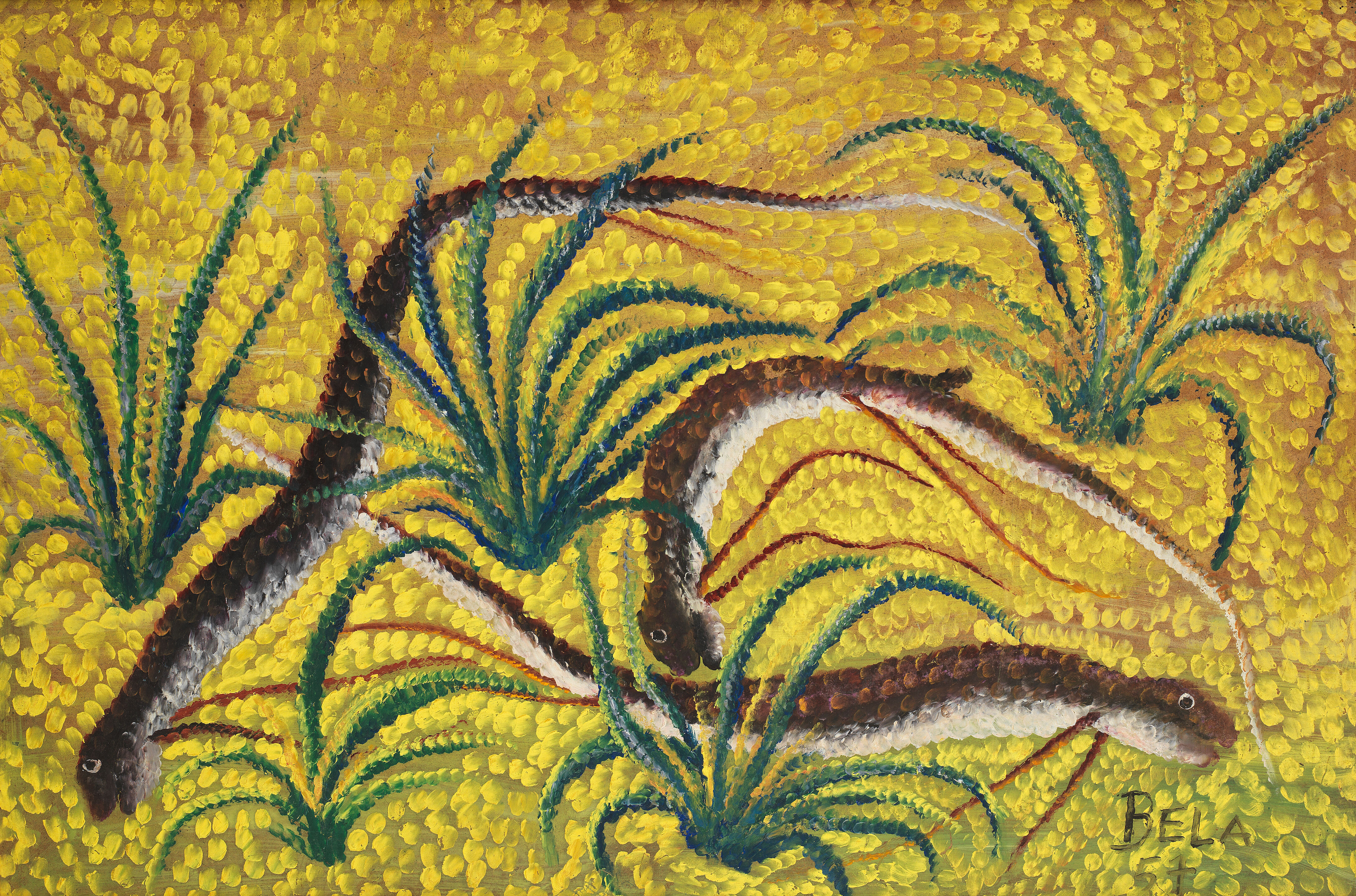Eels, Yellow