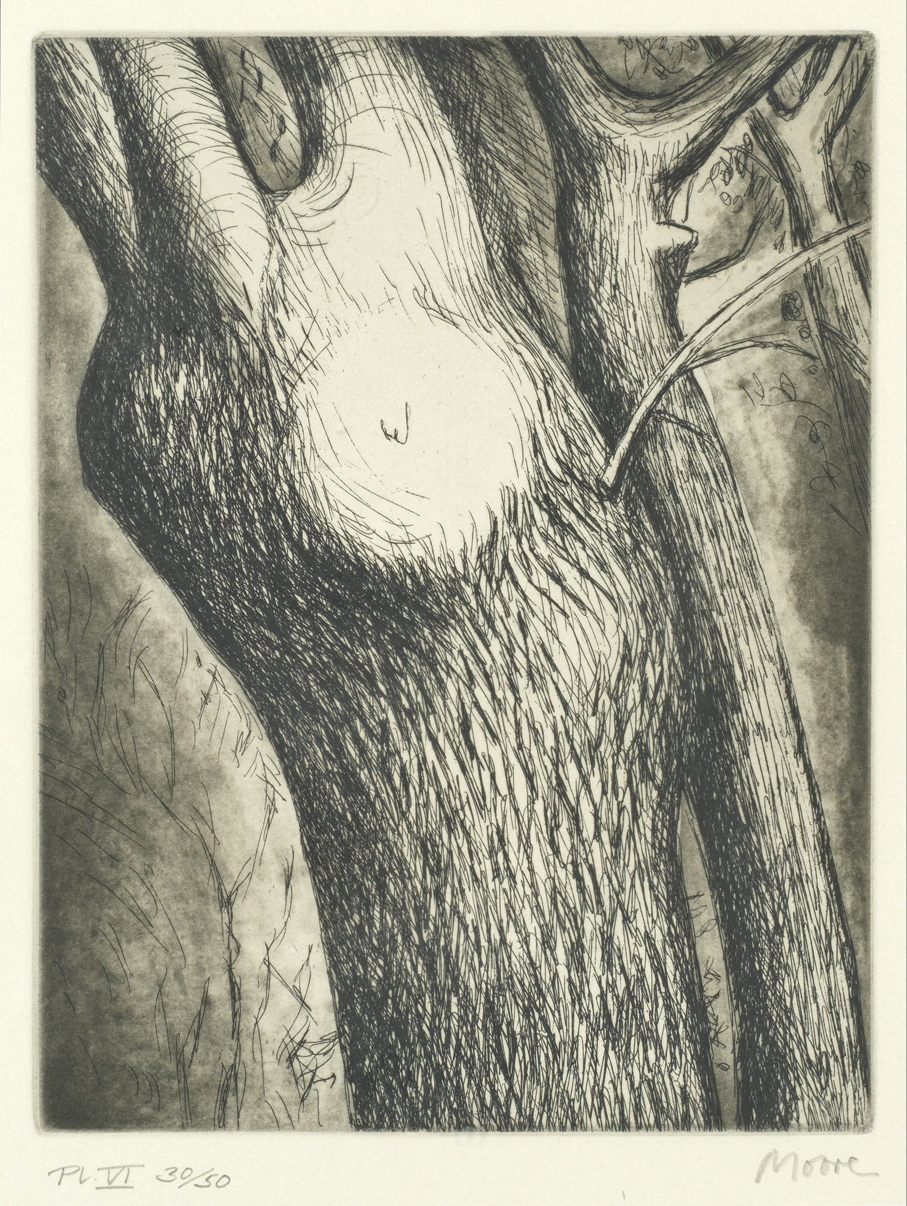 Trees VI: Dead Ash