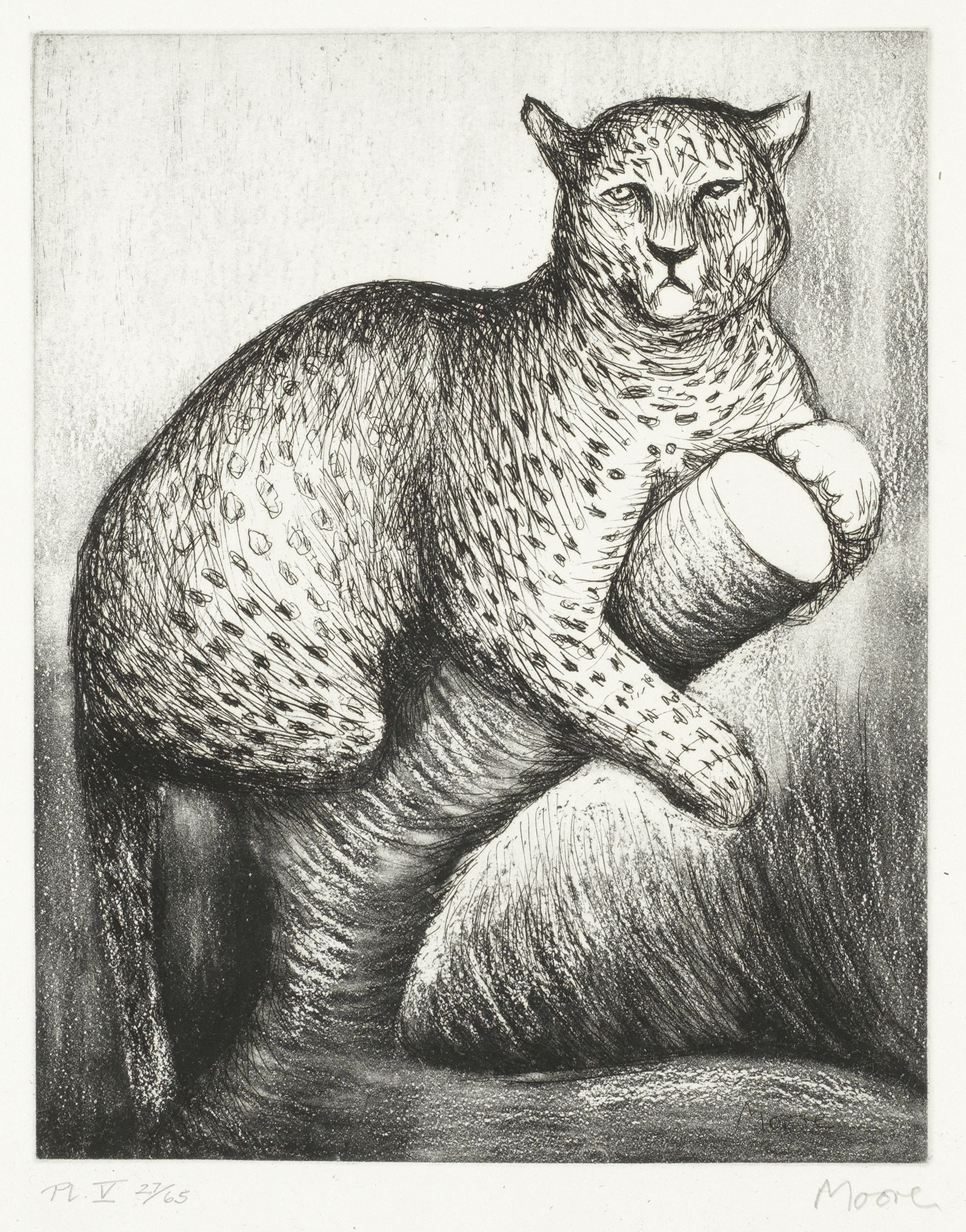 Leopard, from 'Animals in the Zoo'