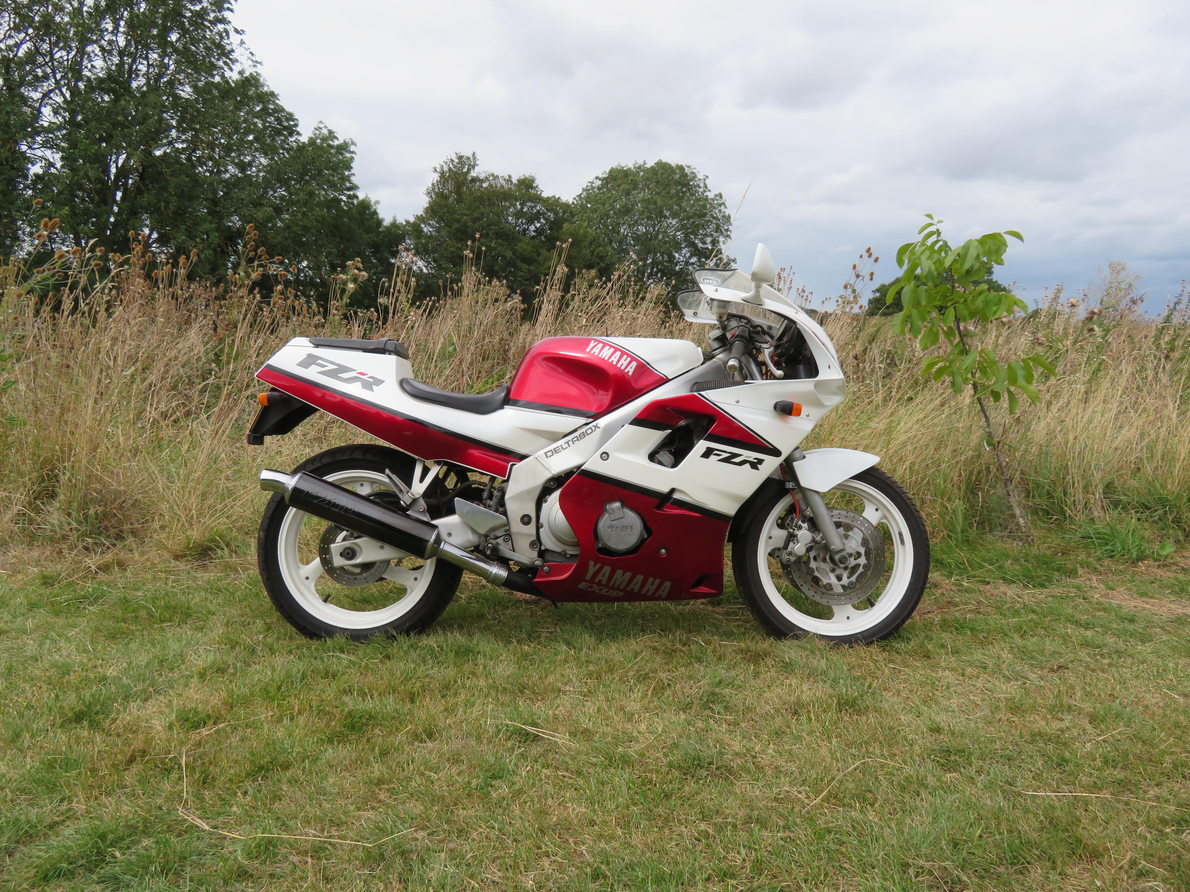 yamaha fzr250 for sale