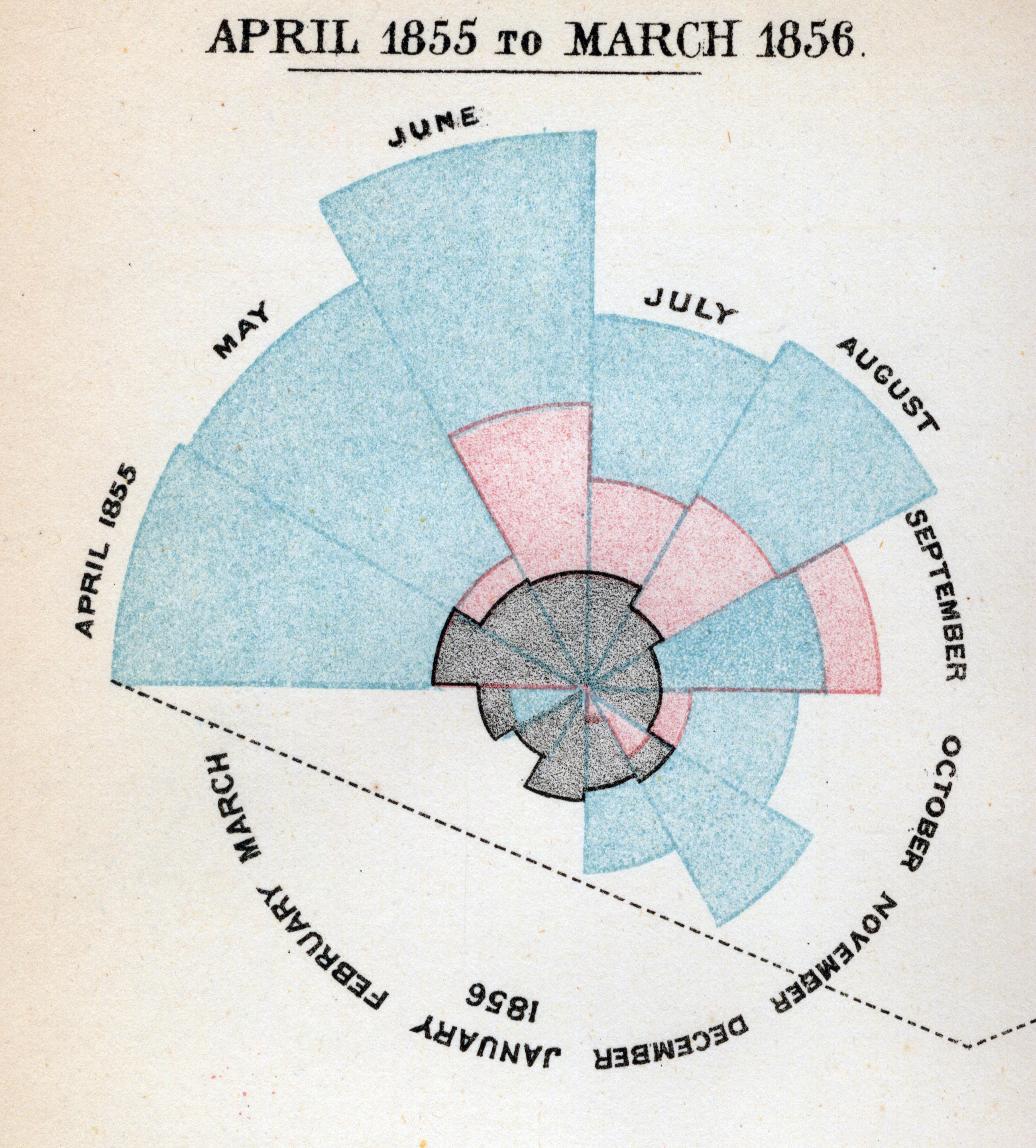 florence nightingale chart