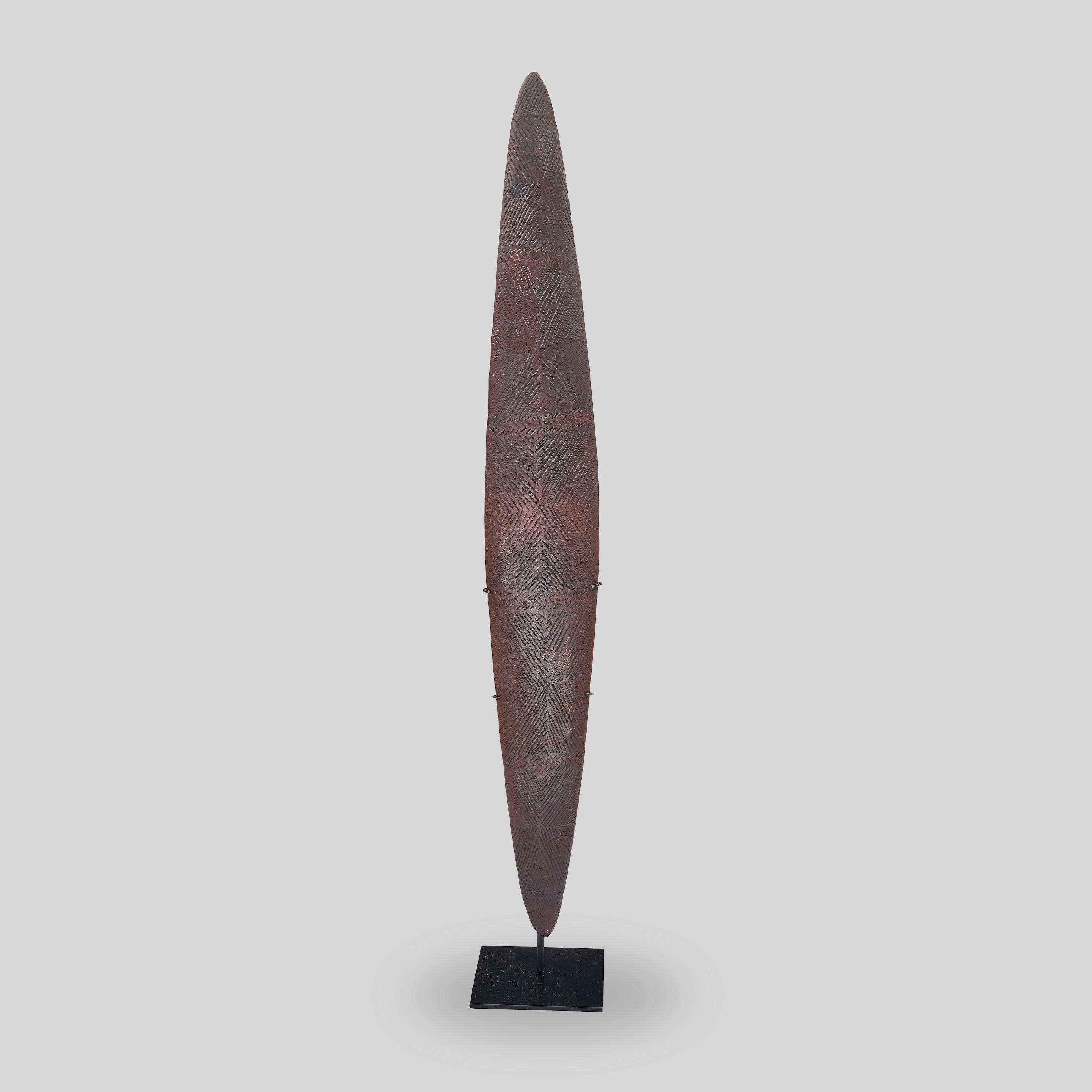 A Parrying Shield