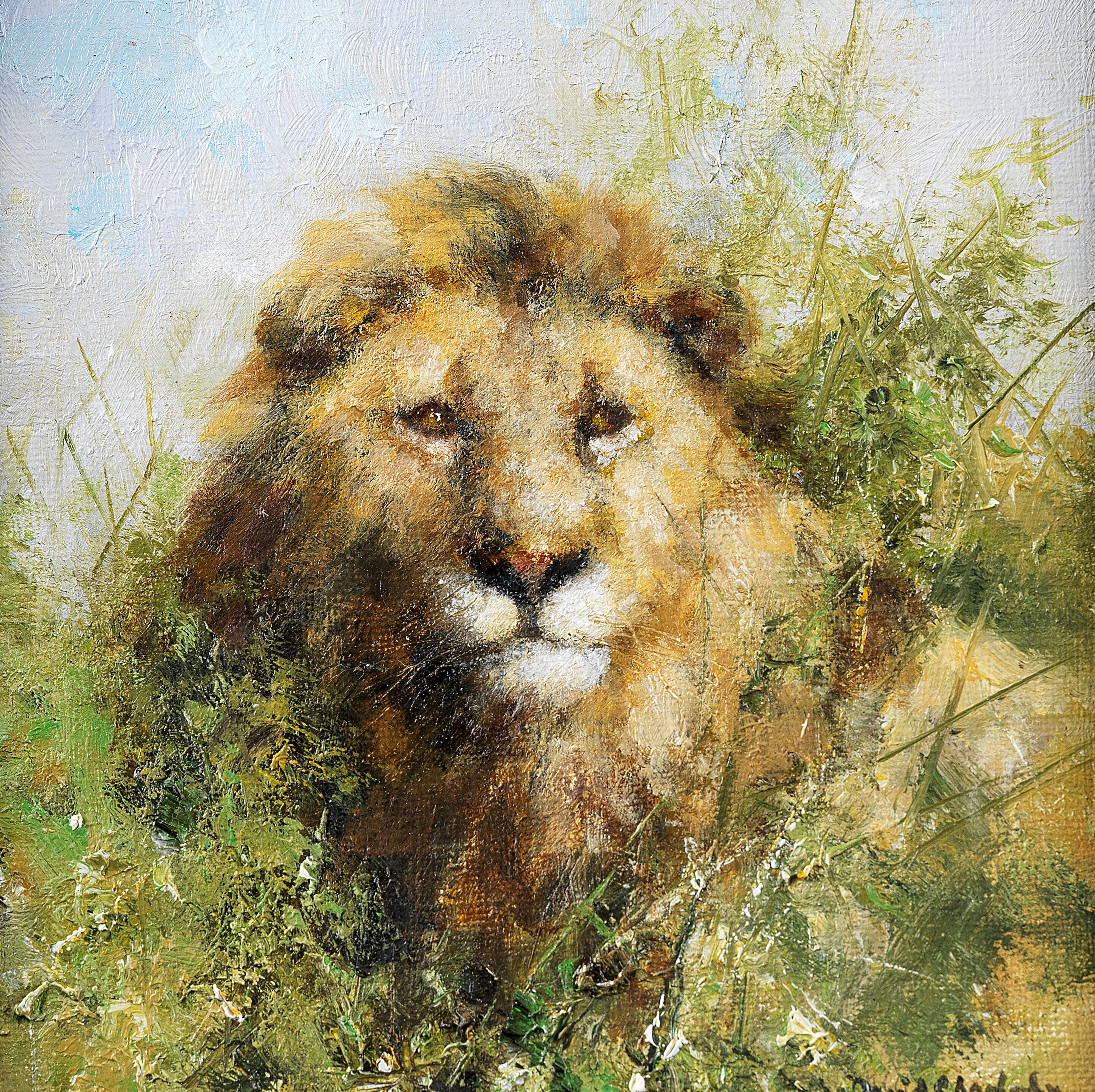 Lion
