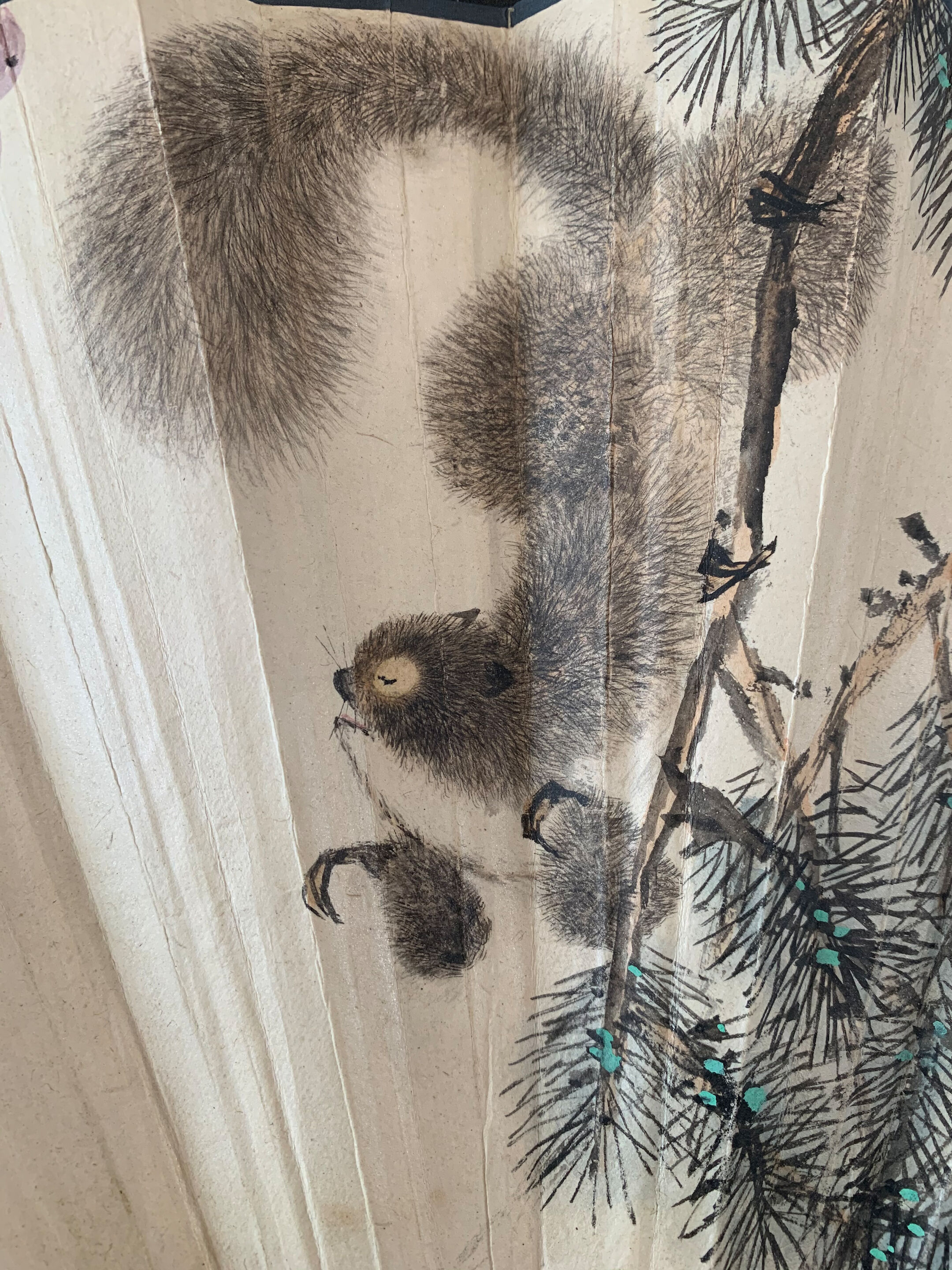 Squirrels - Thumb 13