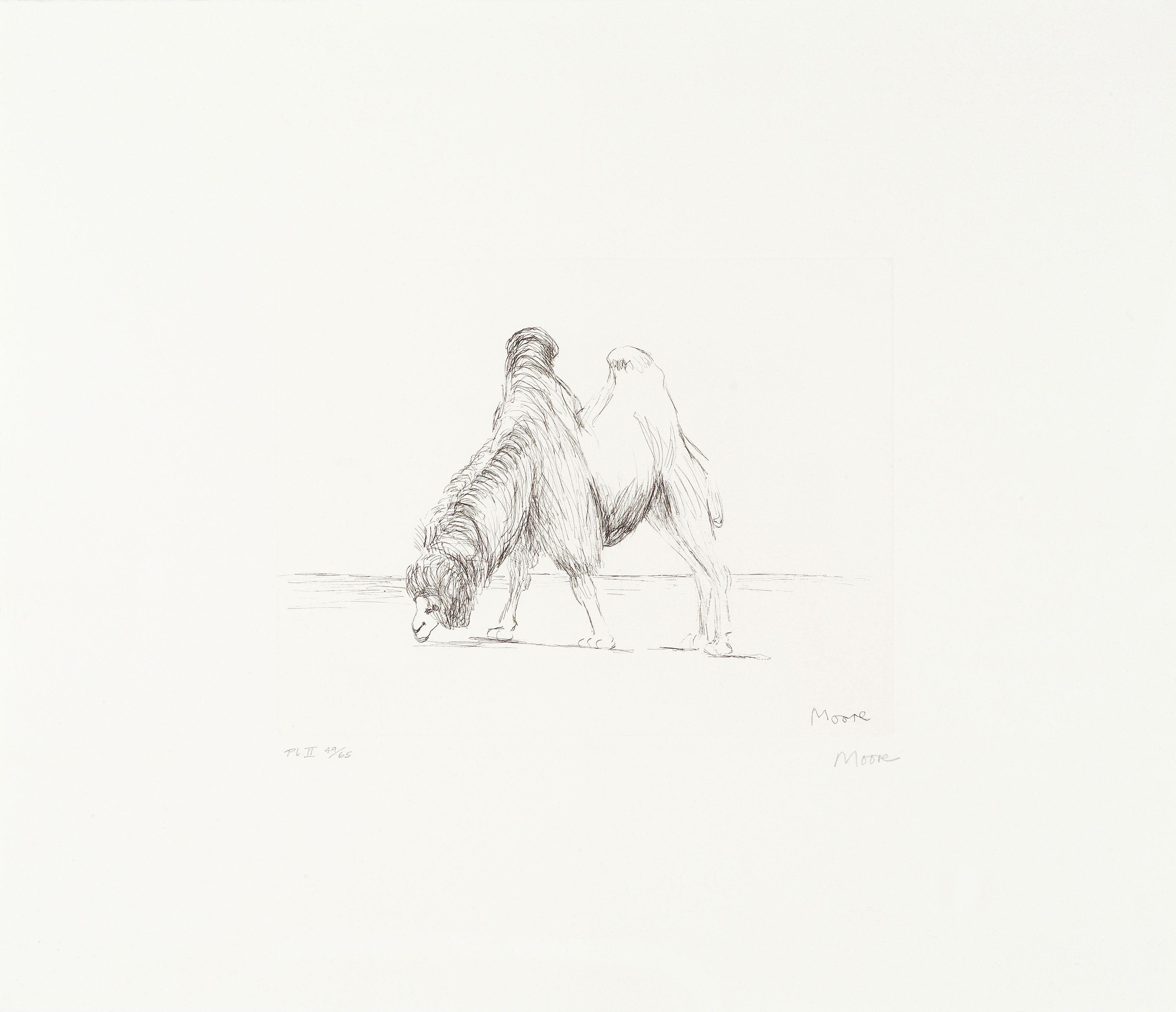 Dromedary, Plate II from 'Animals in the Zoo'; Two Forms in Red and Yellow, from 'Meditations on the Effigy'