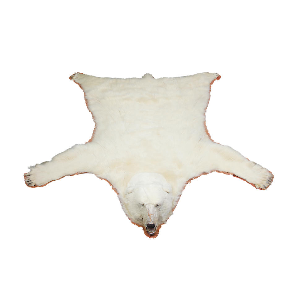 Human Made Polar bear rug, sevenstore