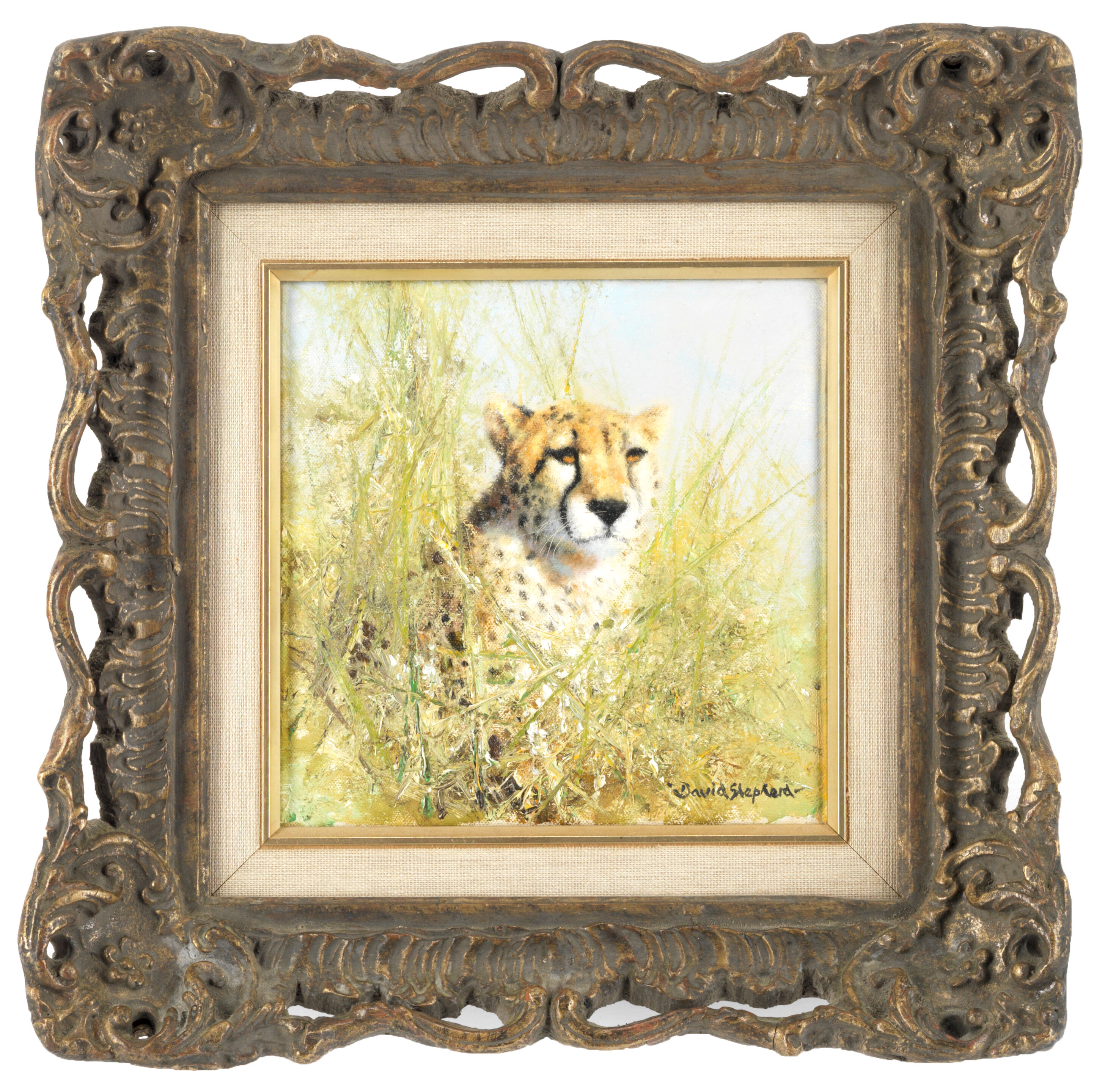 Cheetah - Thumb 2