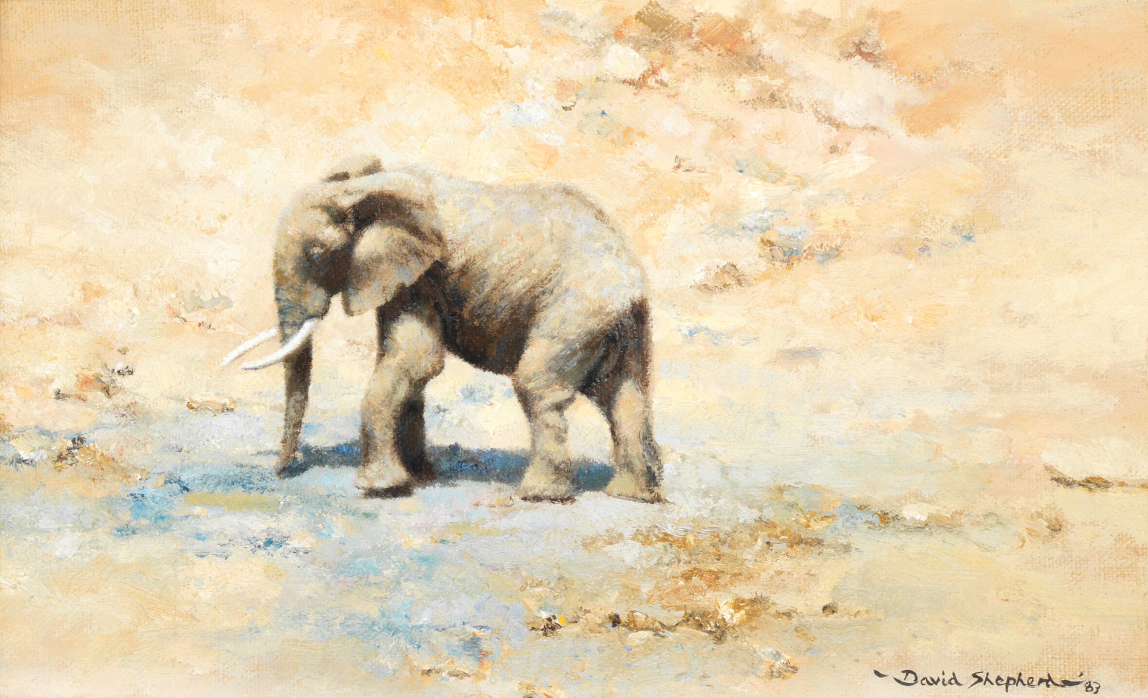 Thirsty Jumbo