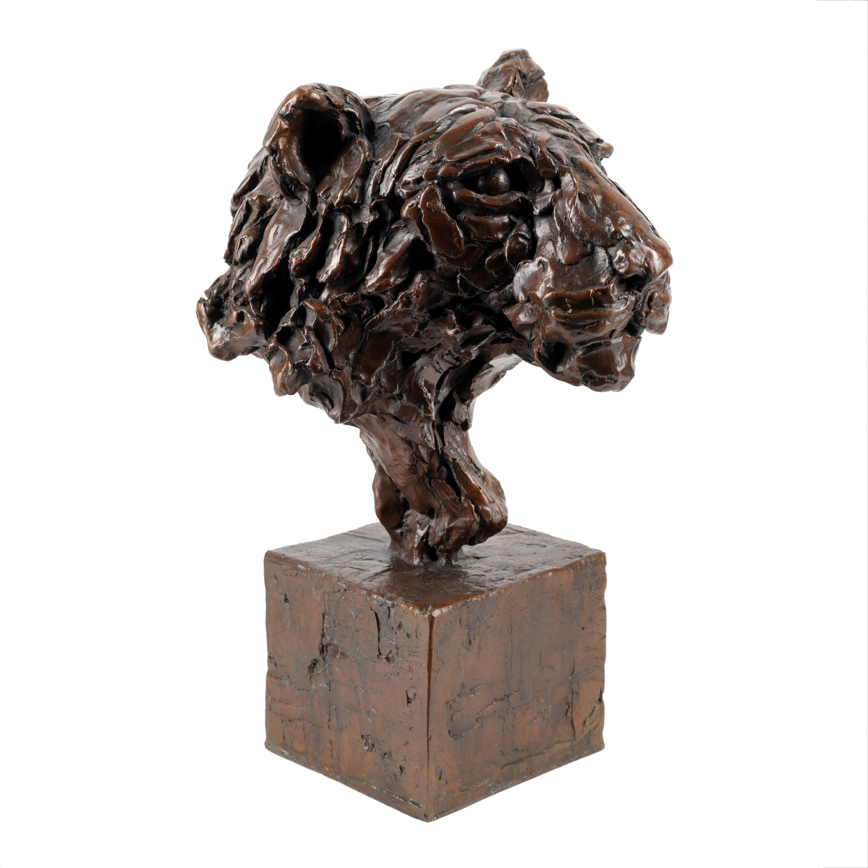 Tiger's Head - Thumb 2