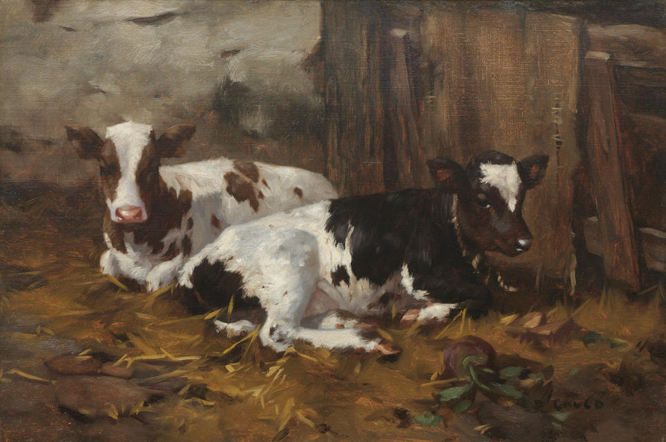 David Gauld, CALVES