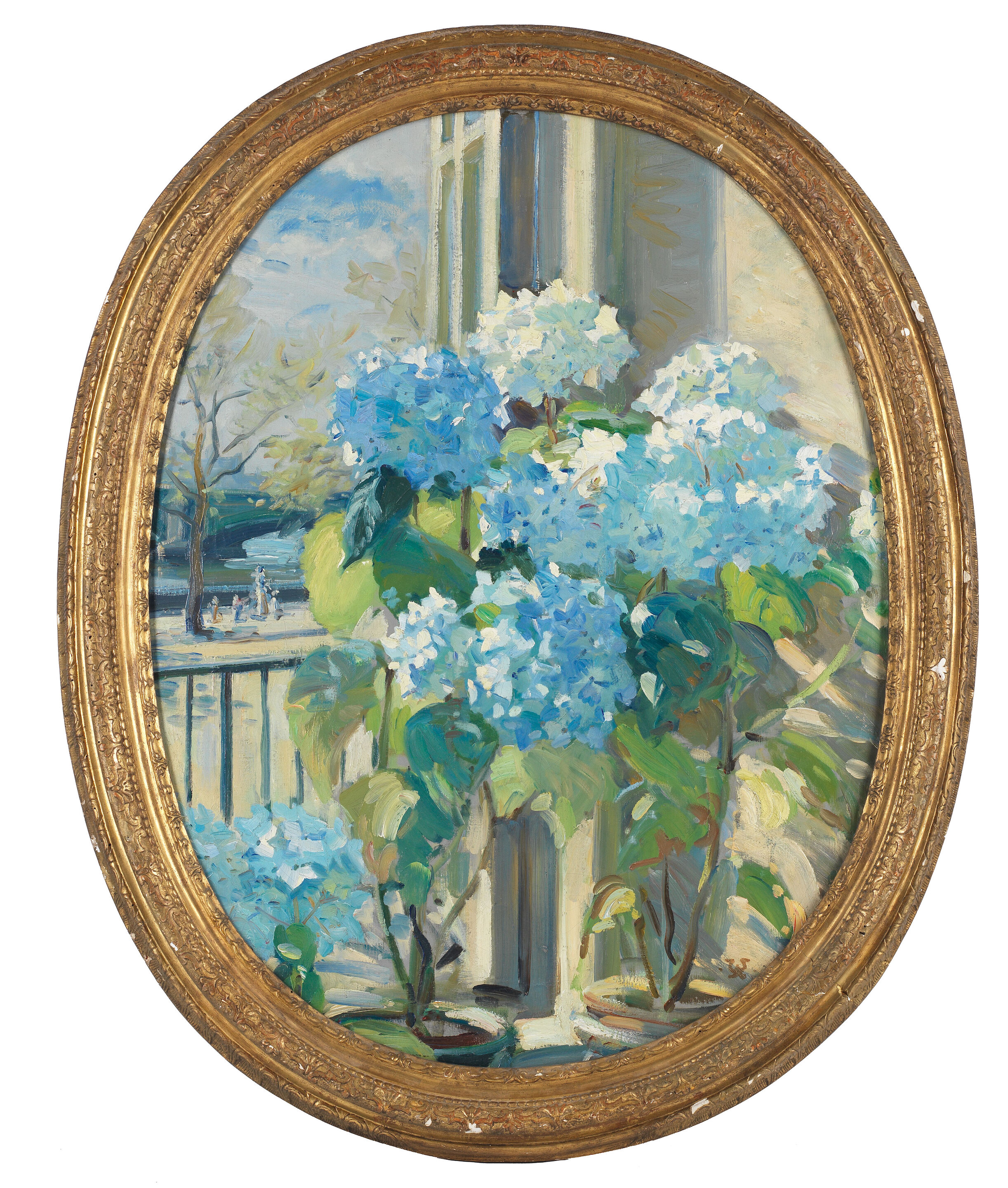 Hydrangeas by the Studio Window - Thumb 2